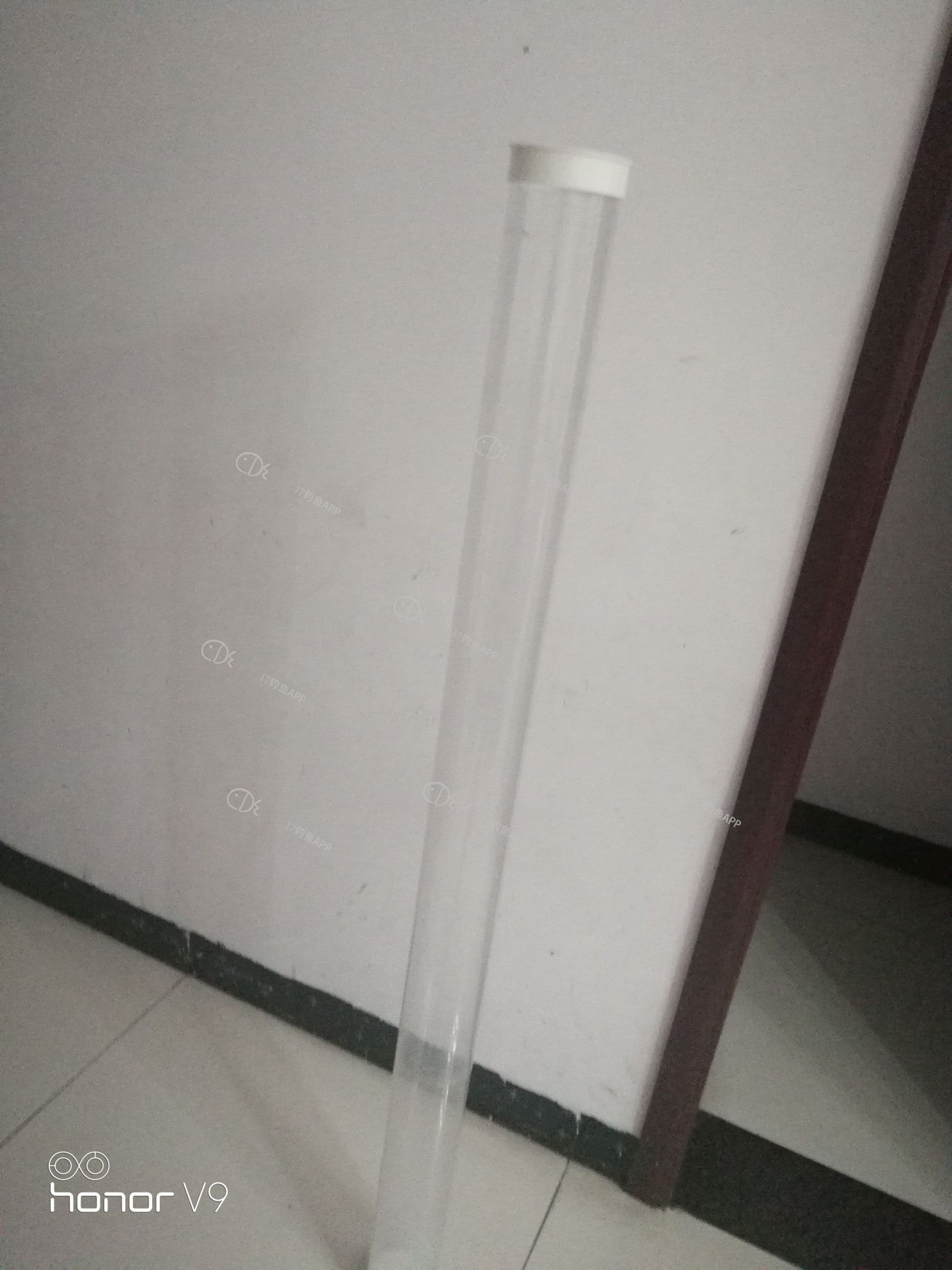 1563681989825717.jpeg
