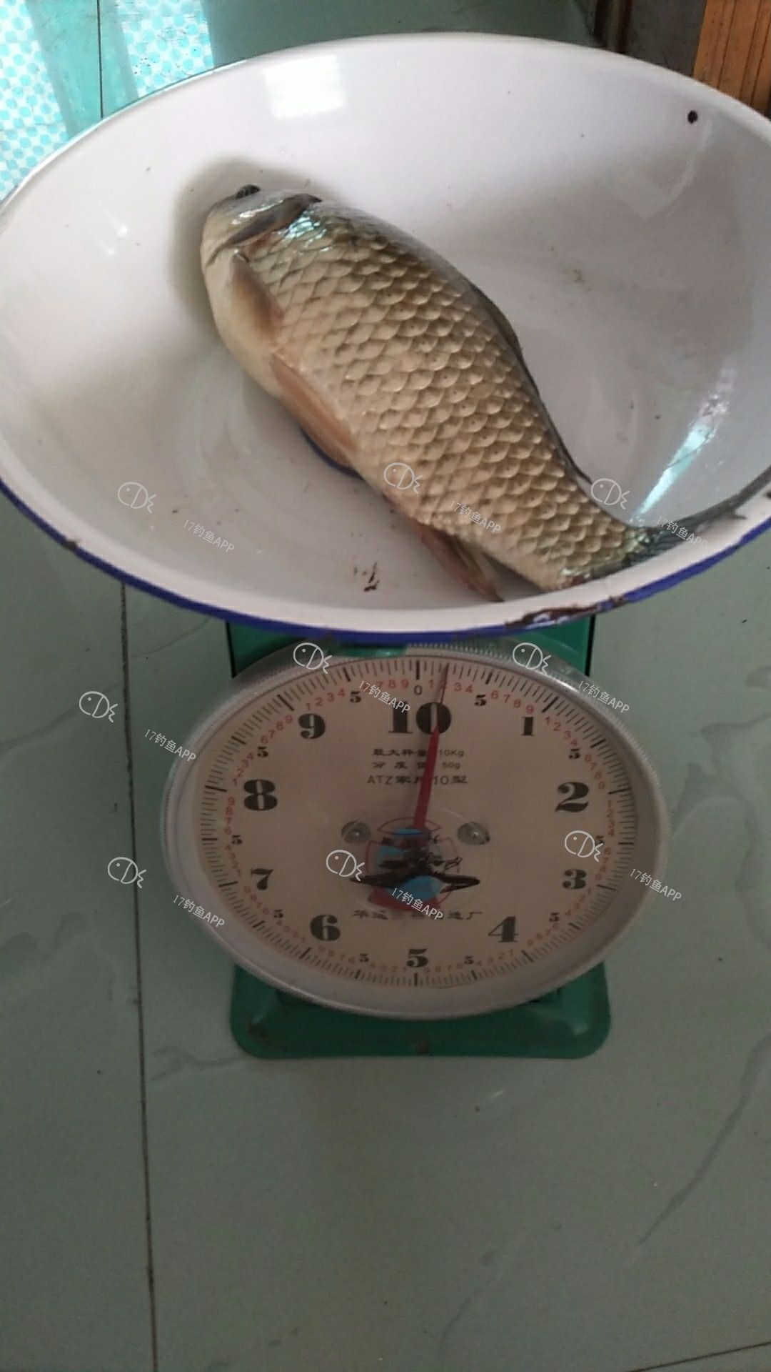 1563870517200933.jpeg