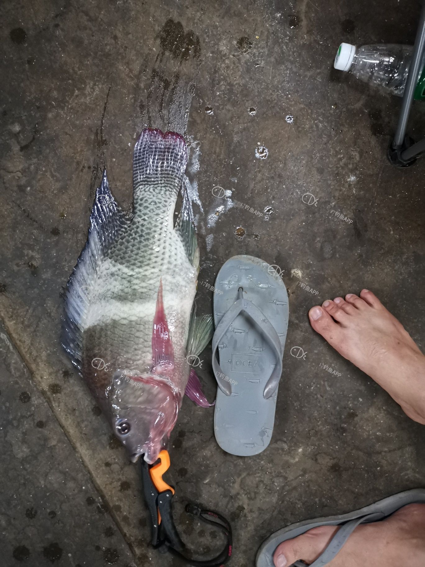 1567757560254942.jpeg