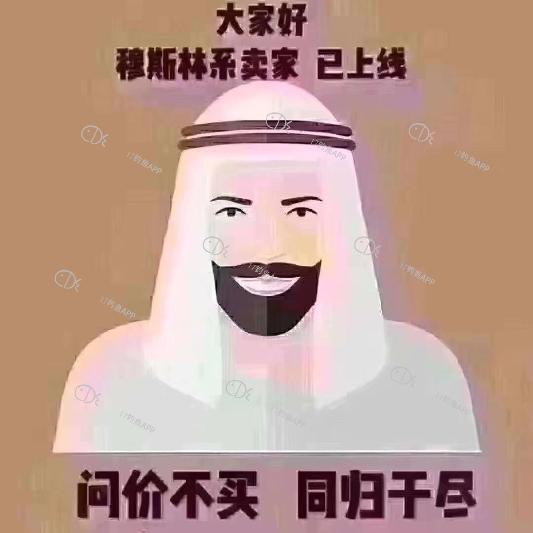 1569312596835287.jpeg