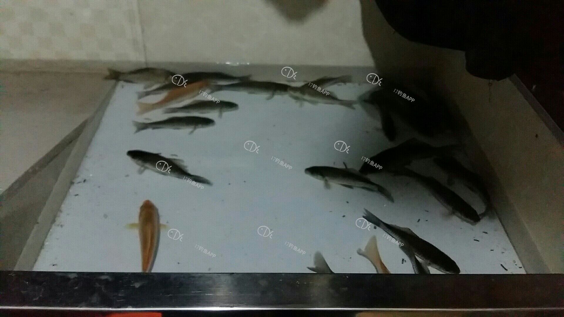 1570263717103827.jpeg