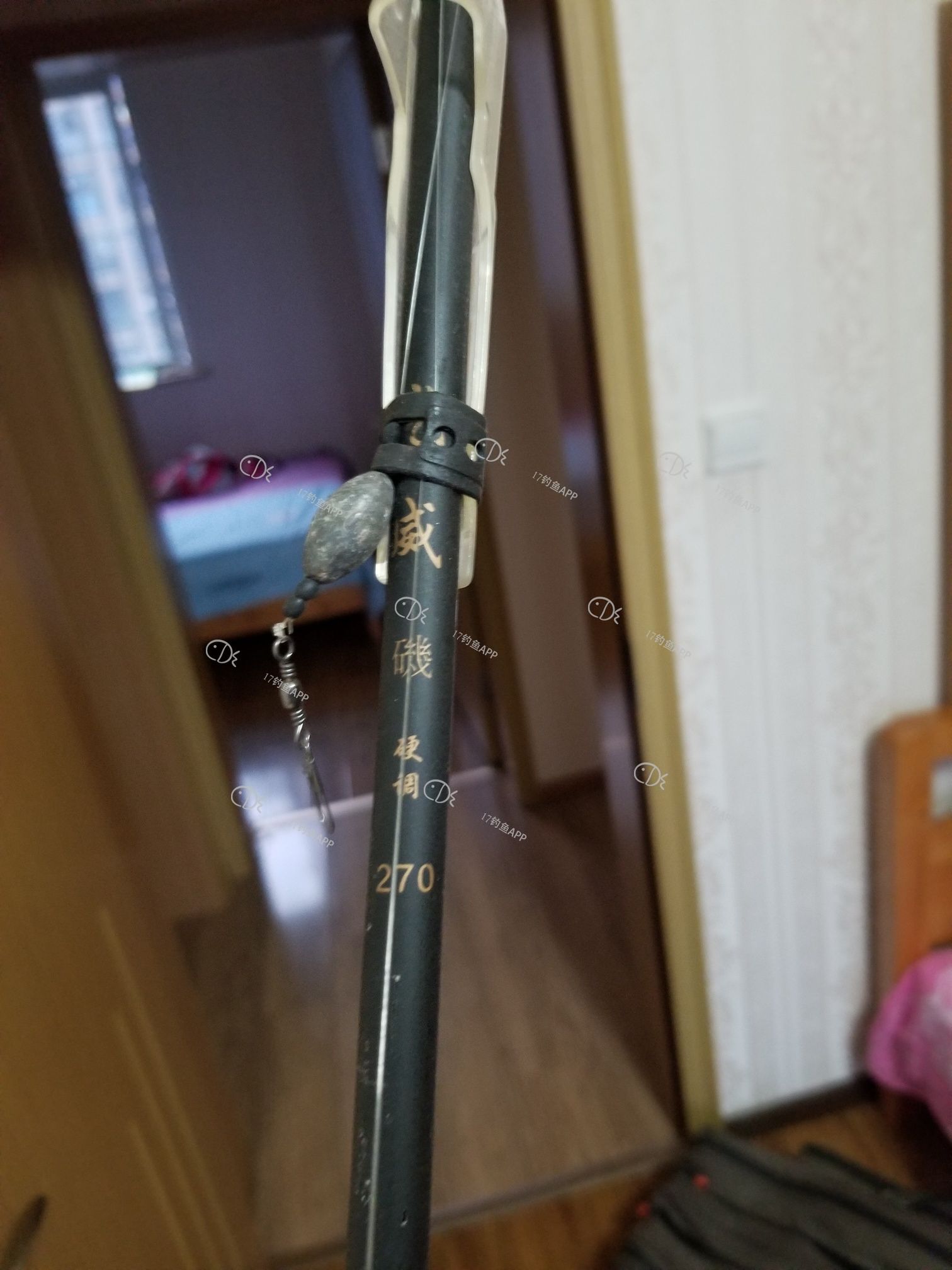 1570417826749820.jpeg