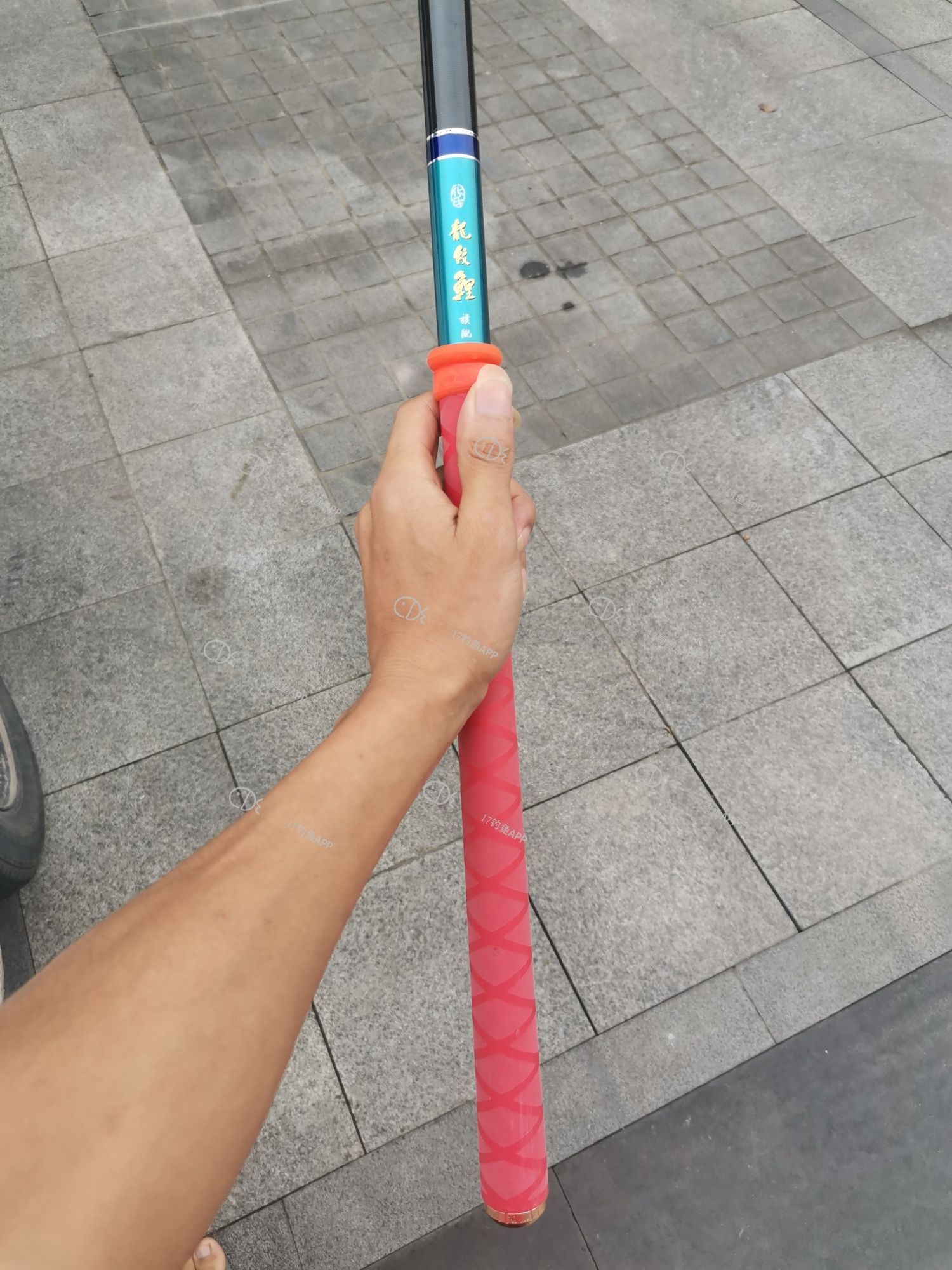 1570585644217231.jpeg