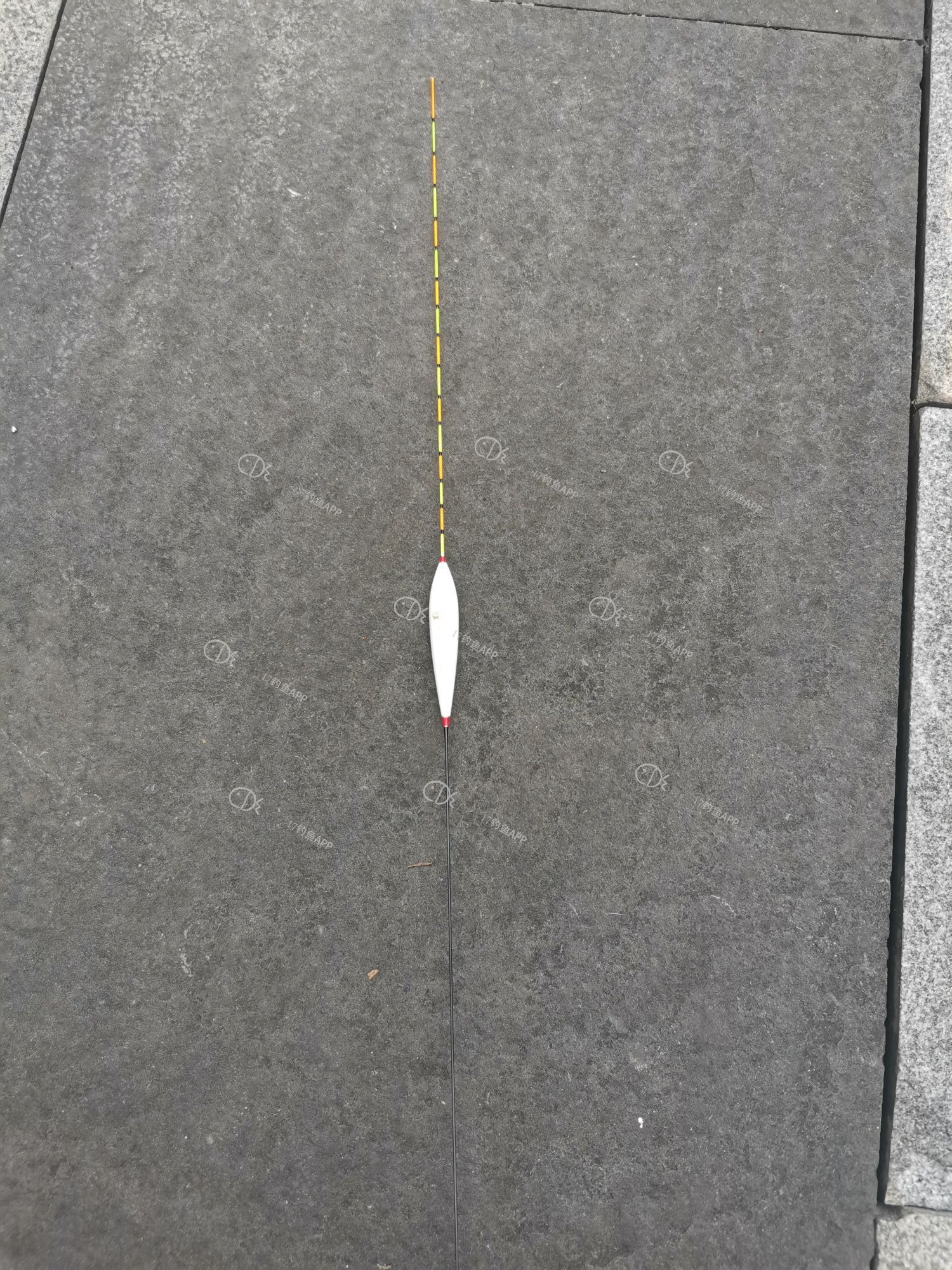 1570585643980333.jpeg