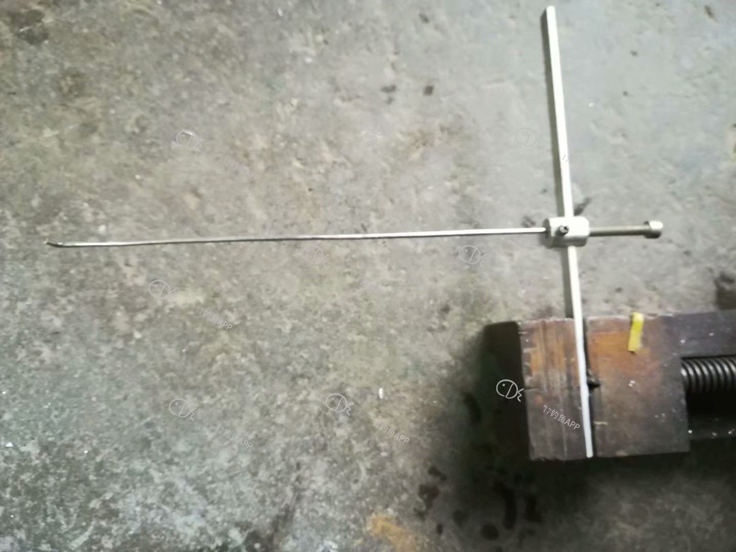 1571902510974496.jpeg