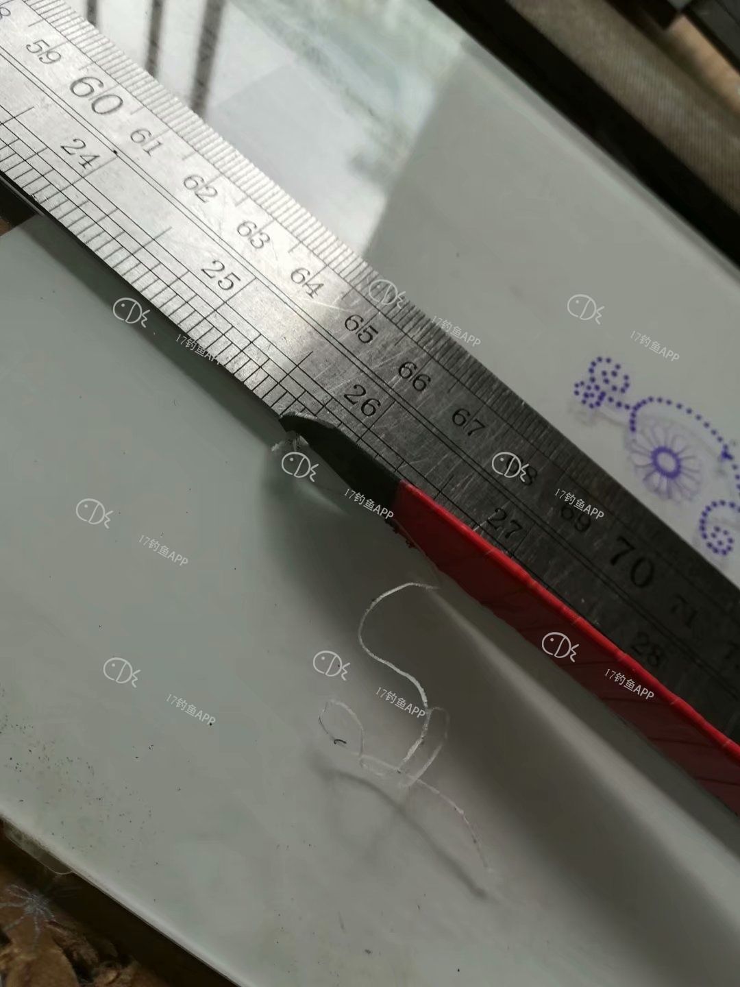 157296397439112.jpeg