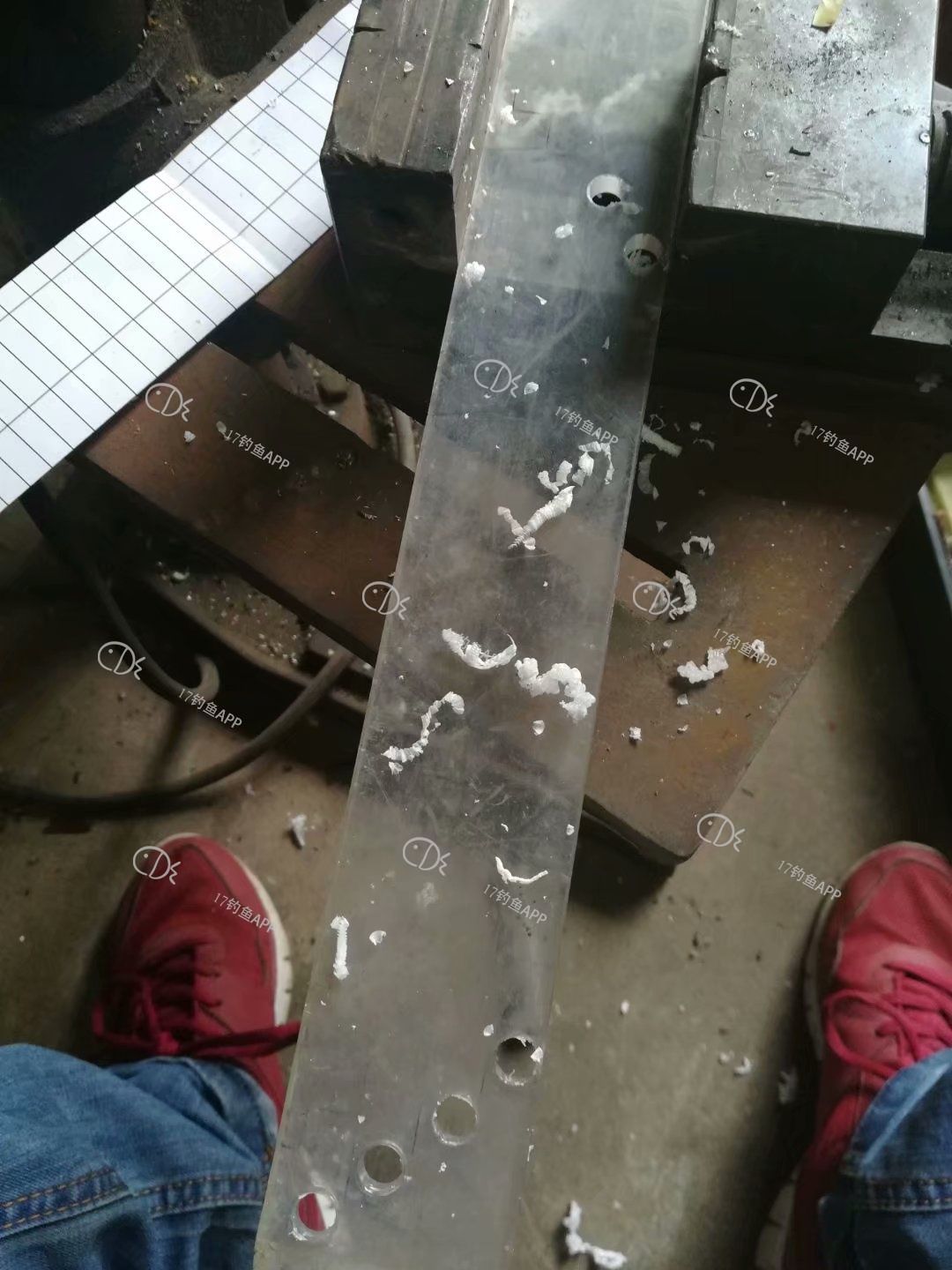 1573645563071760.jpeg