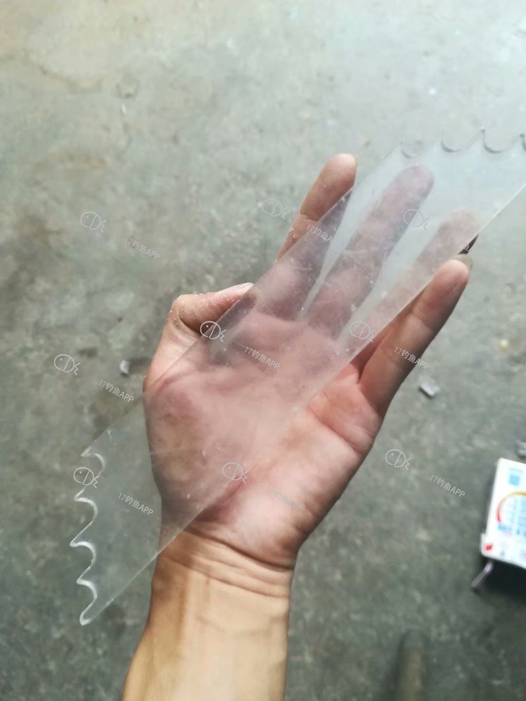 1573645750902784.jpeg