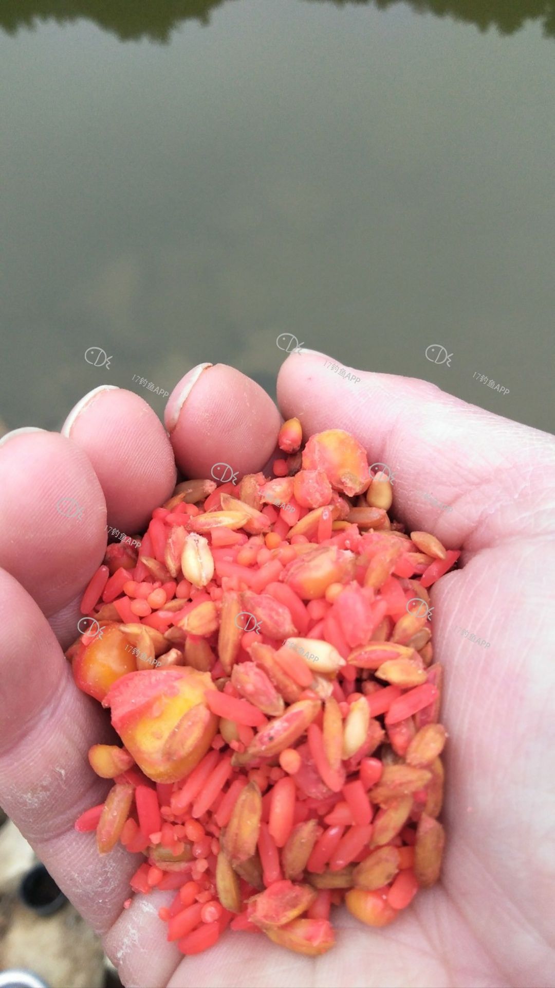1573723447749728.png