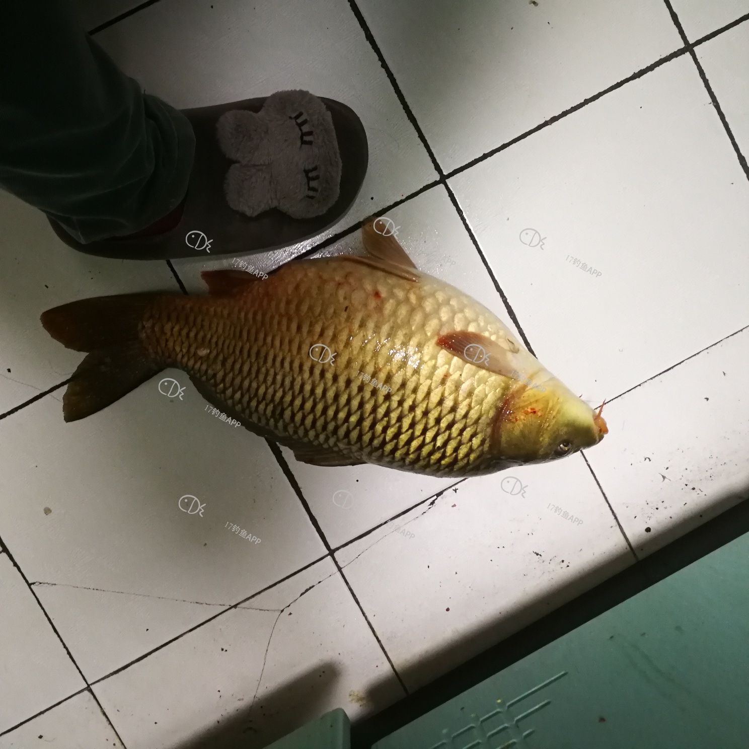 1574178707695602.jpeg