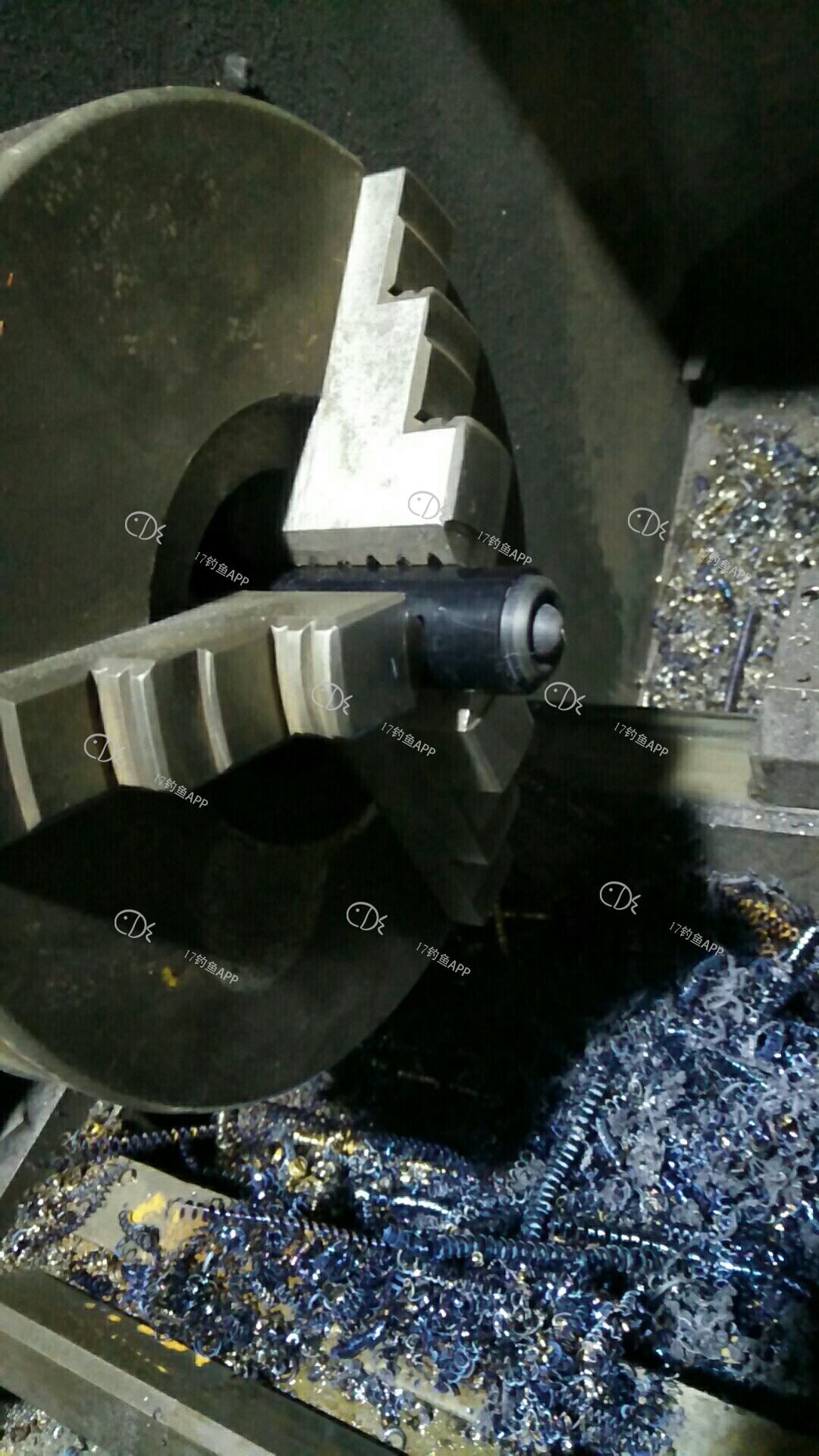 1575722993282184.jpeg