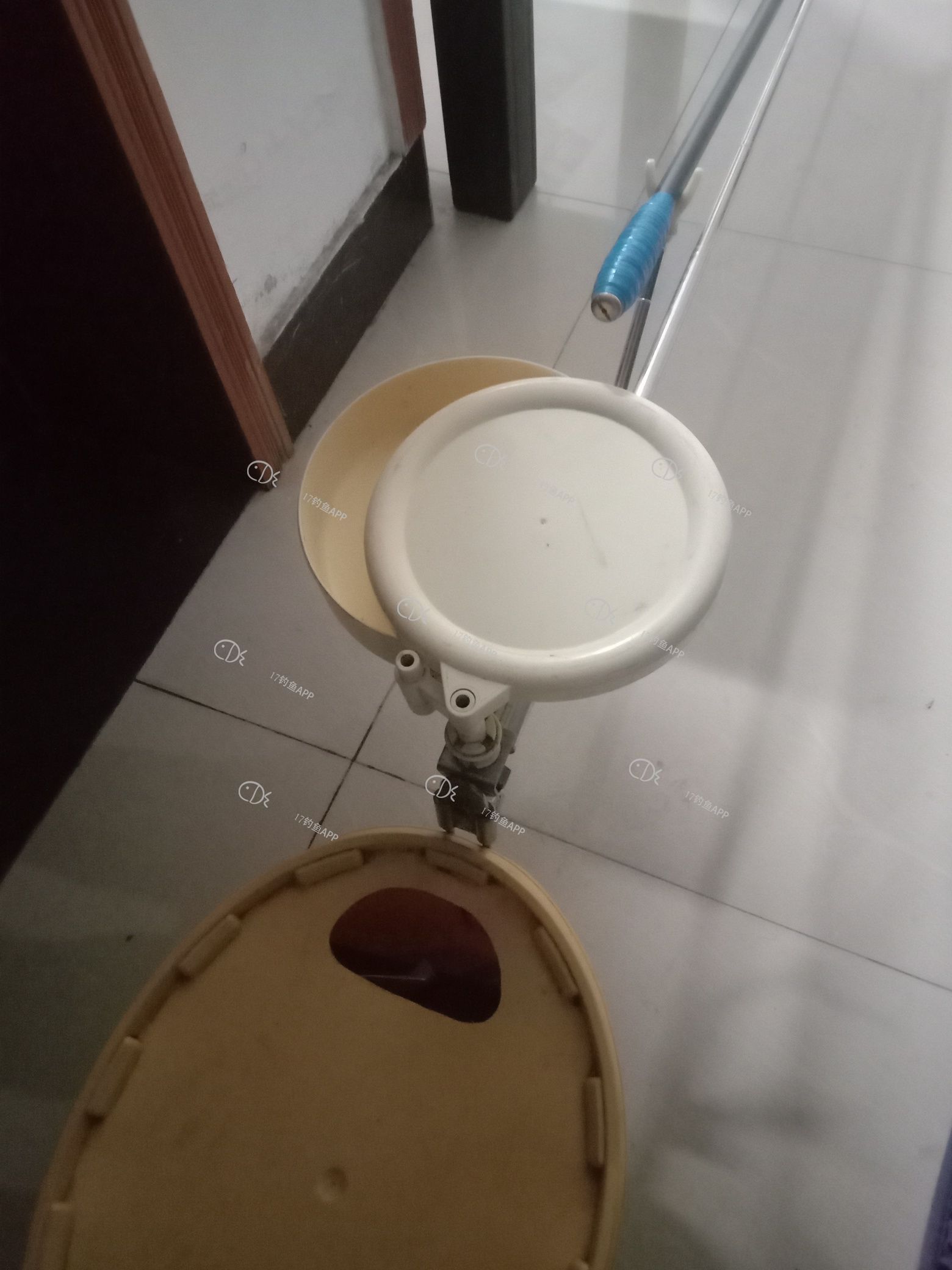 1576754436326403.jpeg