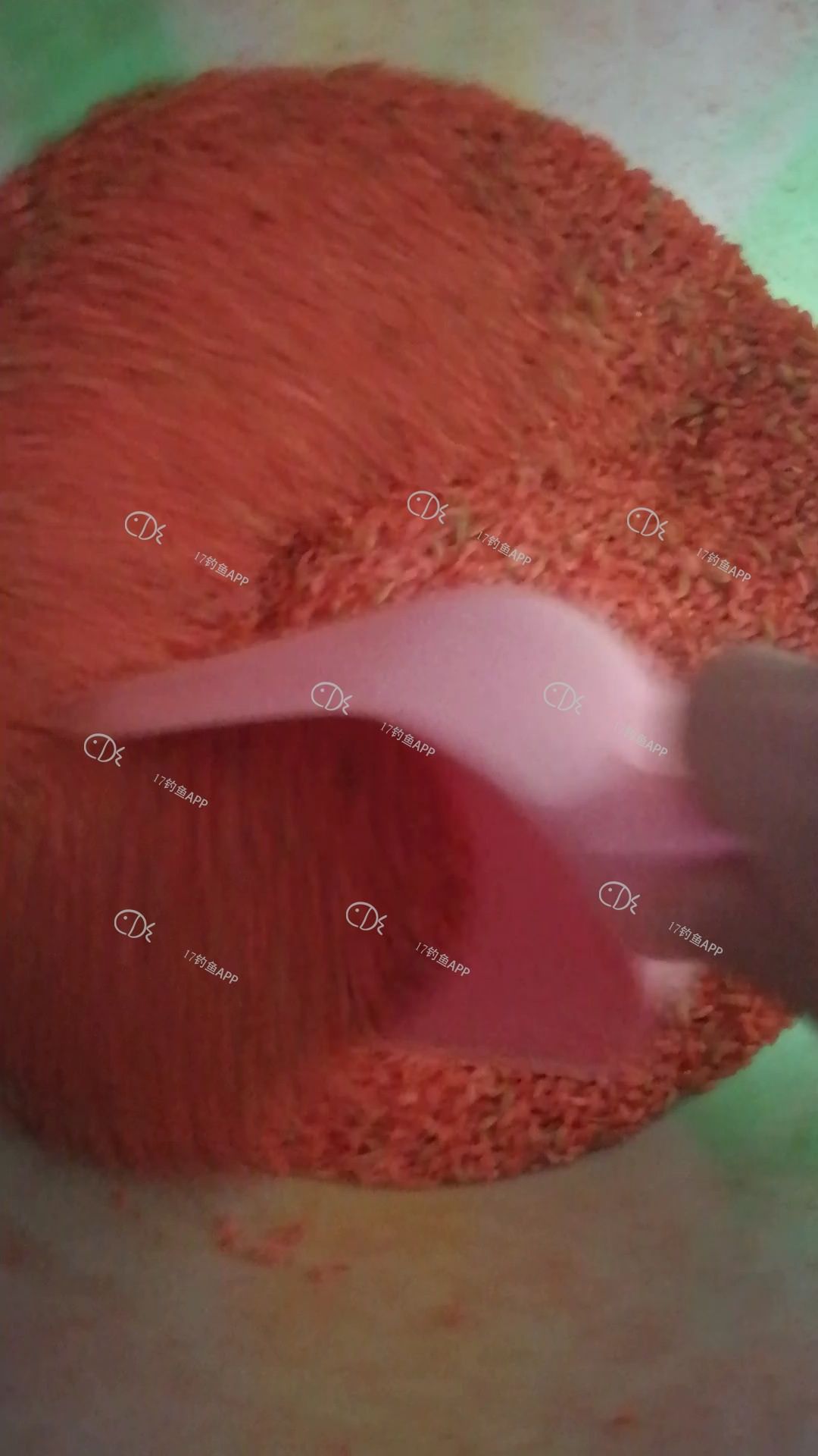 1577330078049114.jpeg