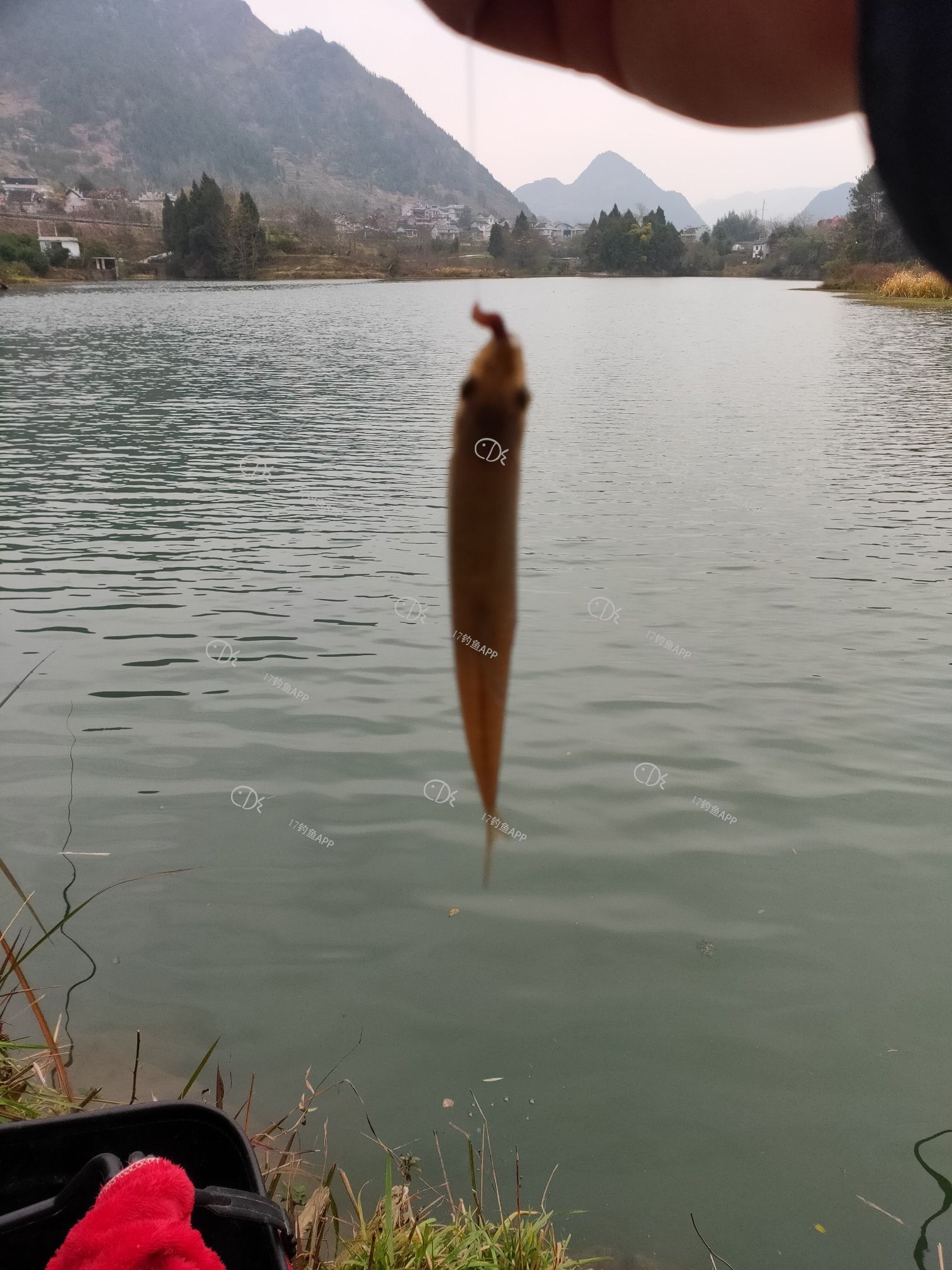 1577790922434154.jpeg