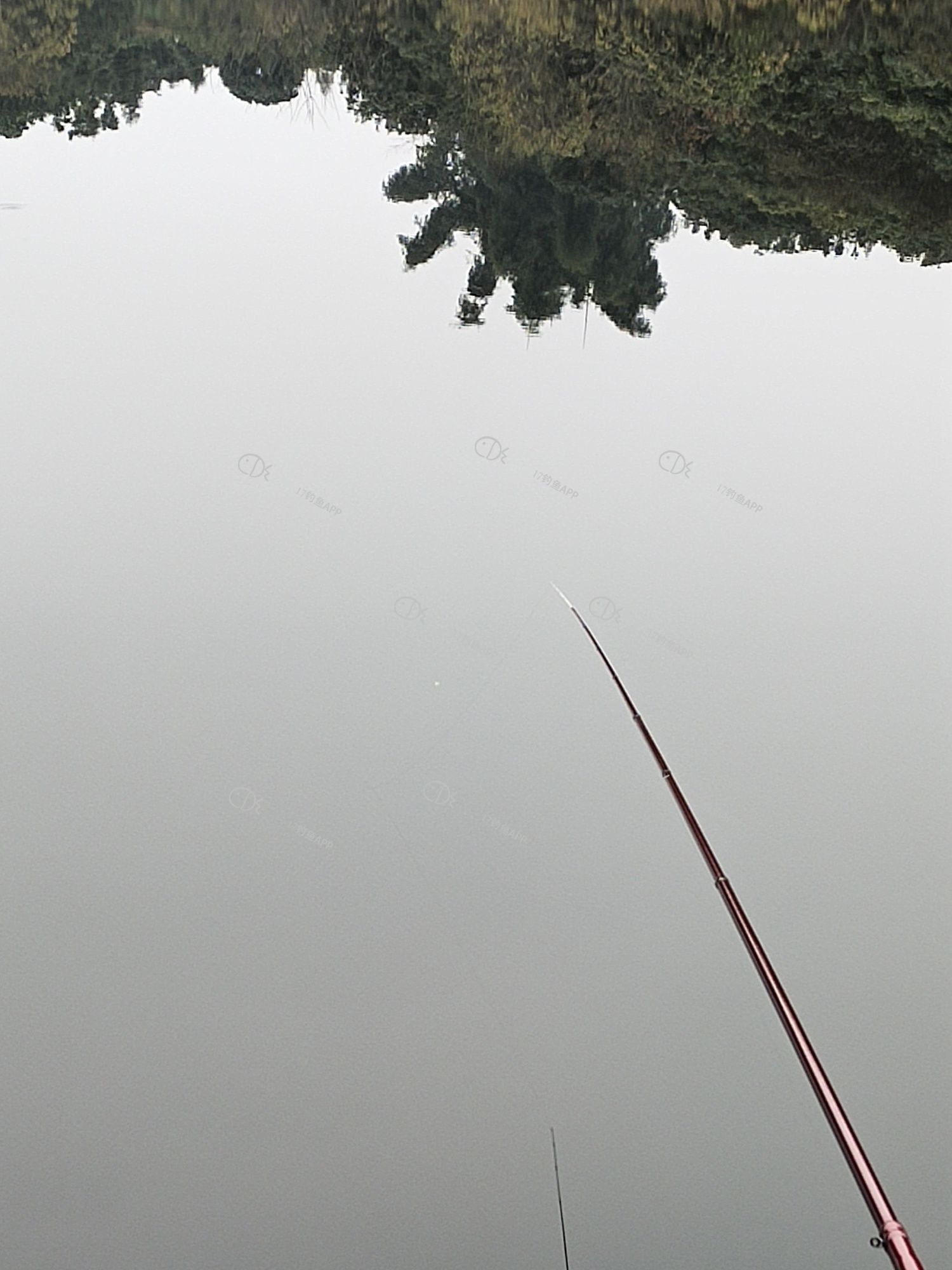 1578476430452578.jpeg