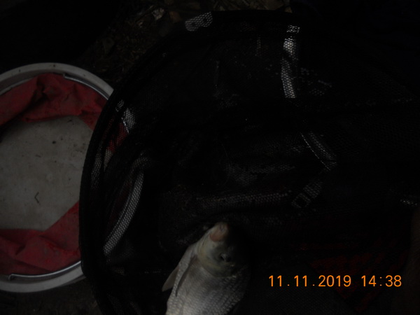 DSCN9816.JPG