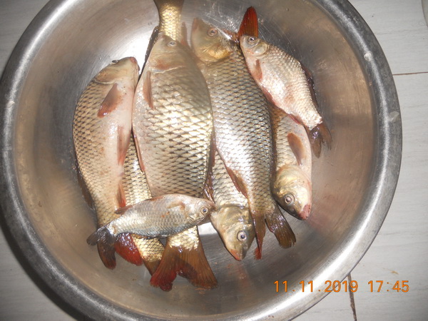 DSCN9819.JPG