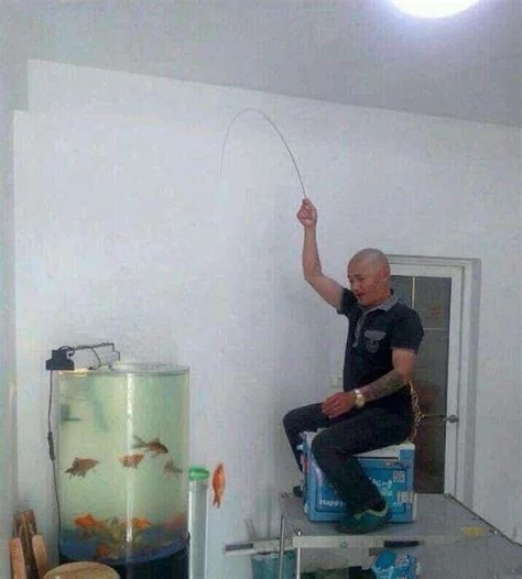 1581062991309816.jpeg