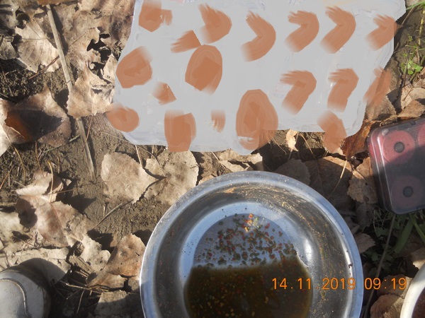 DSCN9820A.jpg