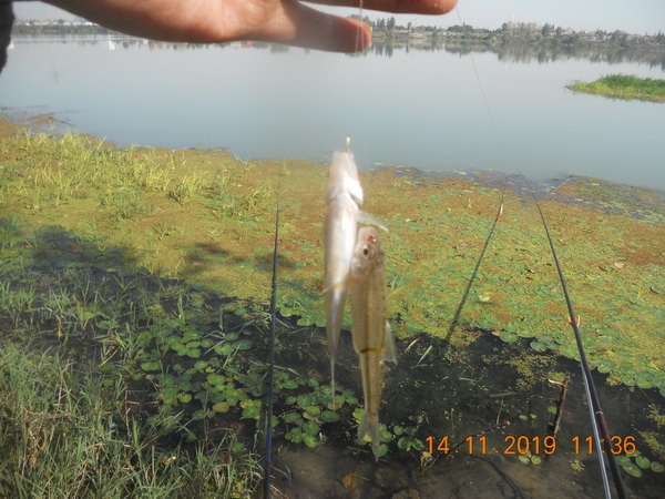 DSCN9823.JPG