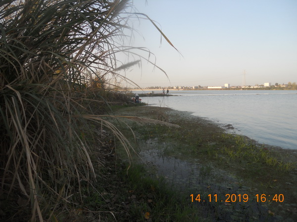 DSCN9825.JPG