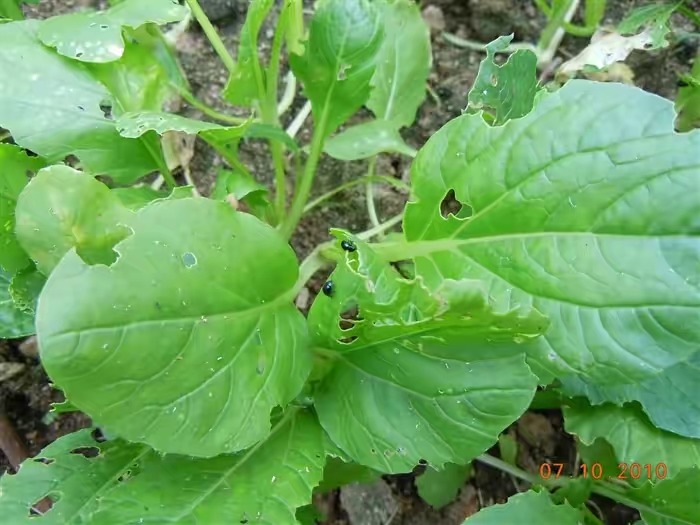 2010107164135177.jpg
