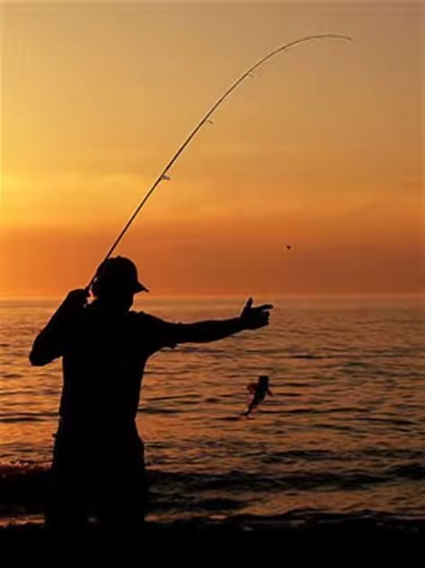 20200222194230-OIP.jpg