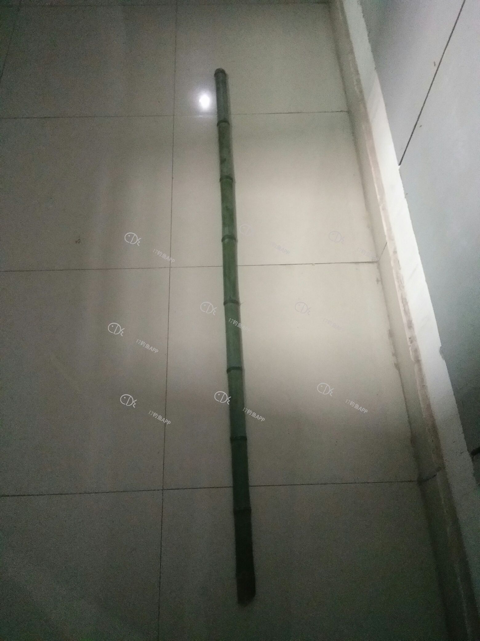 1582781540024906.jpeg