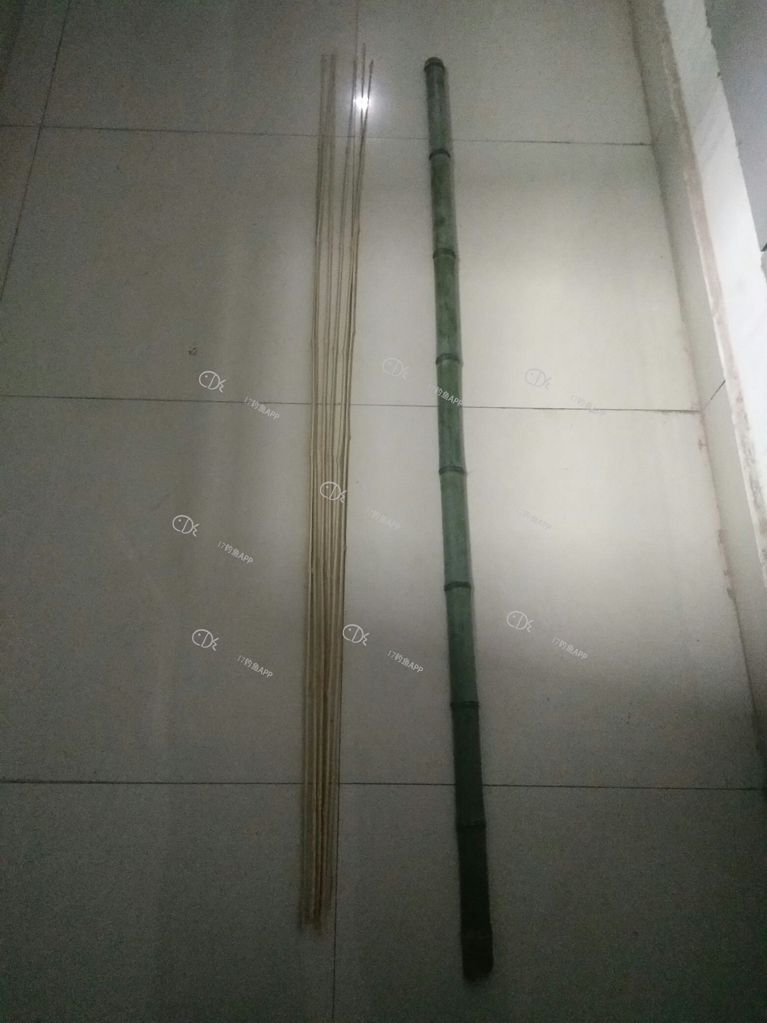 1582781634271261.jpeg
