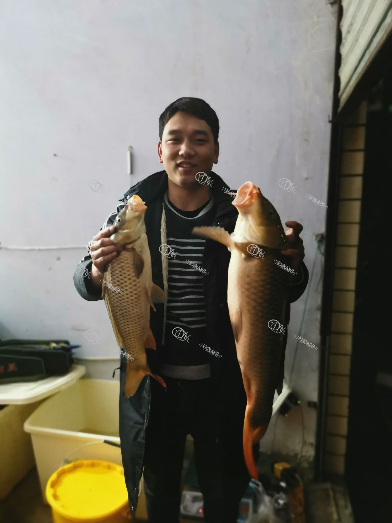 20