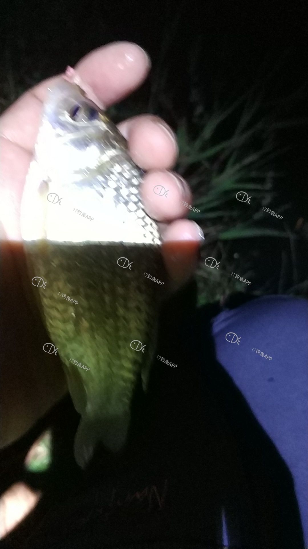 1585481212967125.jpeg