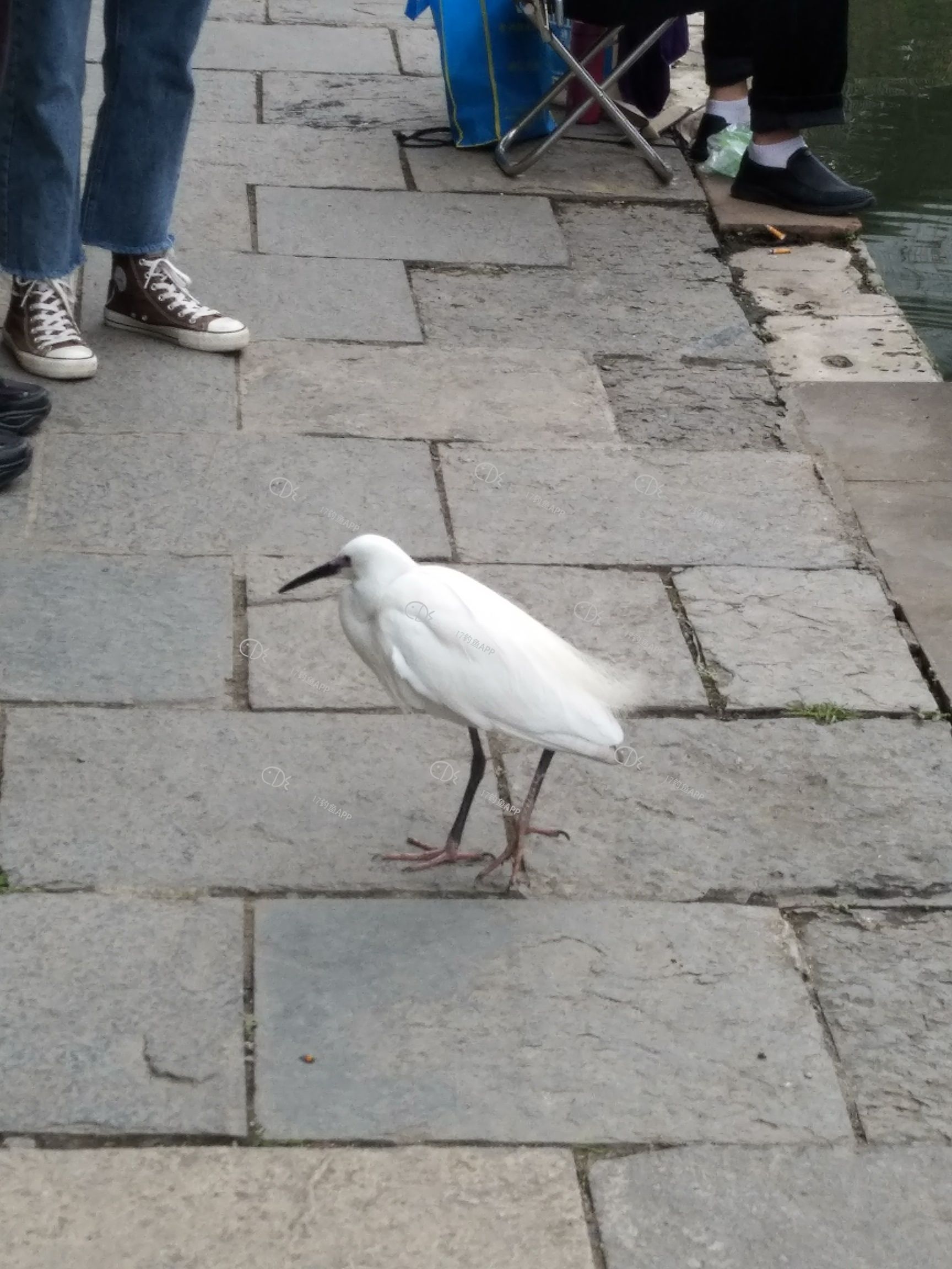 158588010766831.jpeg