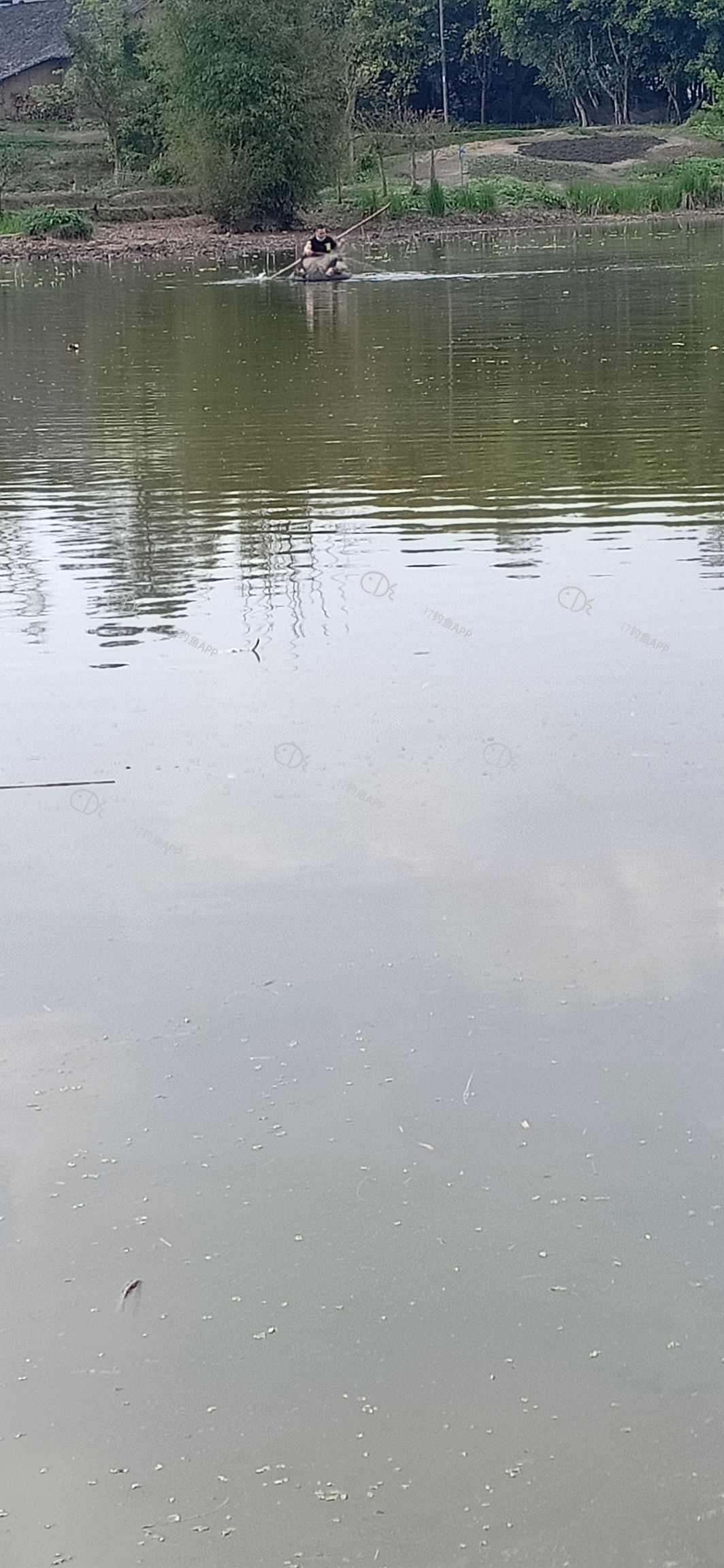1586862893772674.jpeg