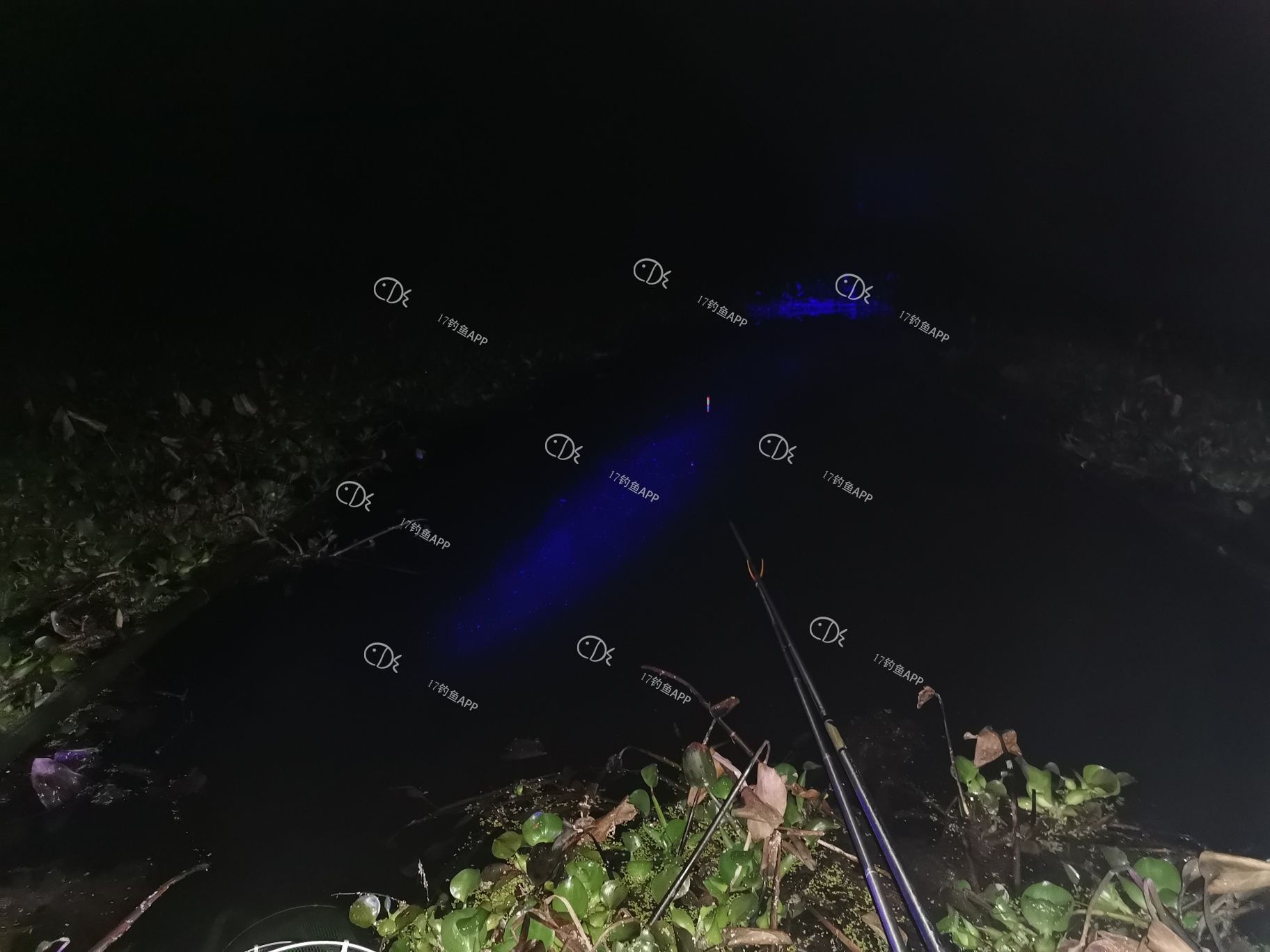 1587001112124746.jpeg