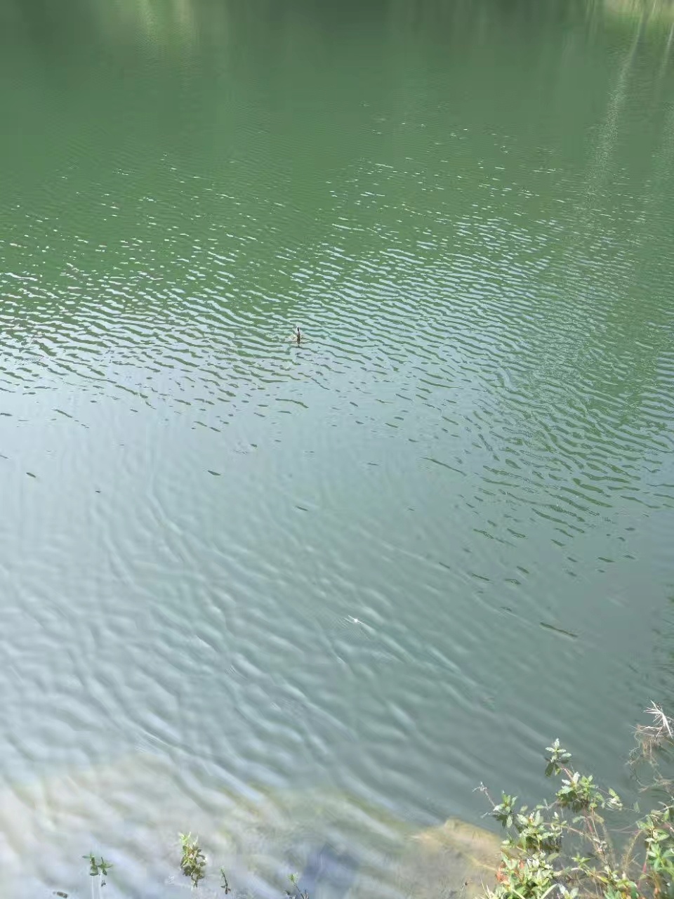 1587046696023436.jpeg