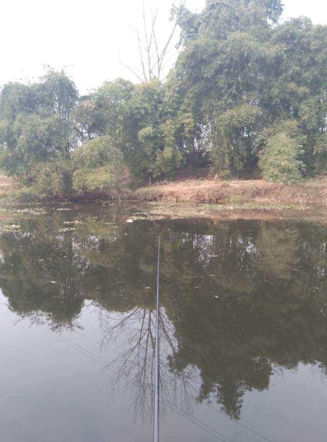 mmexport1587023897439.jpg