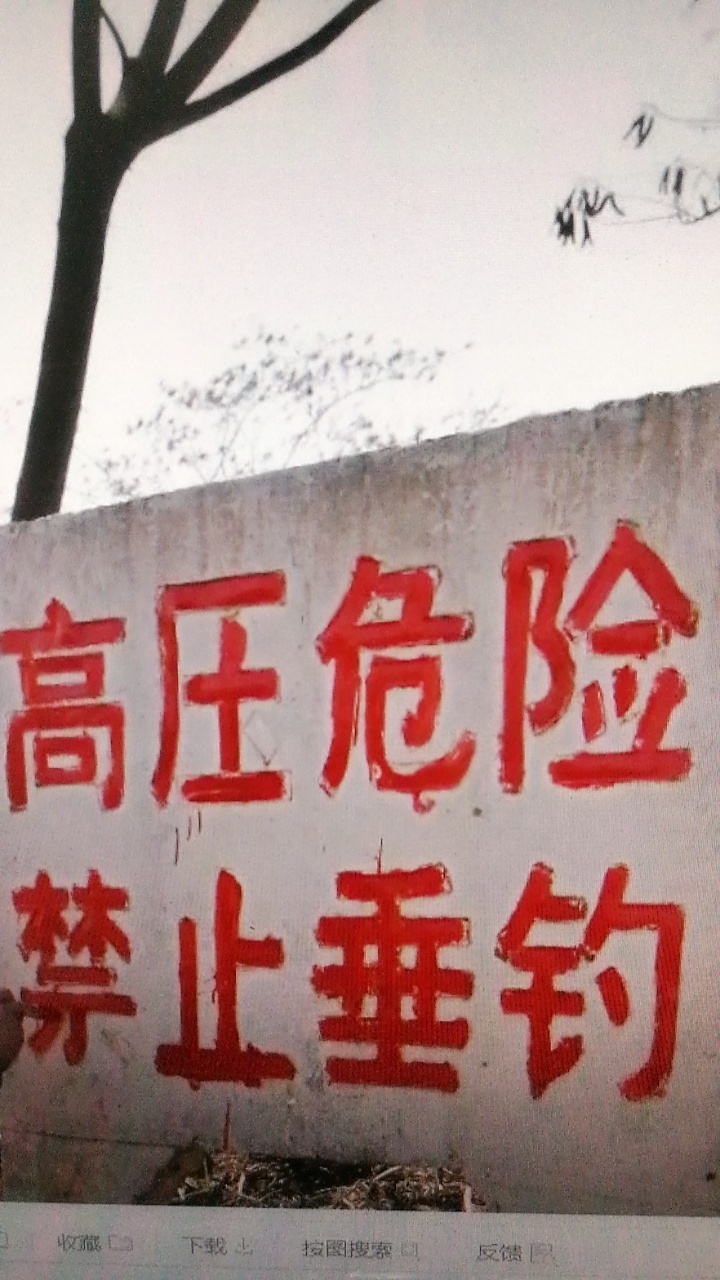 1587123421477987.jpeg