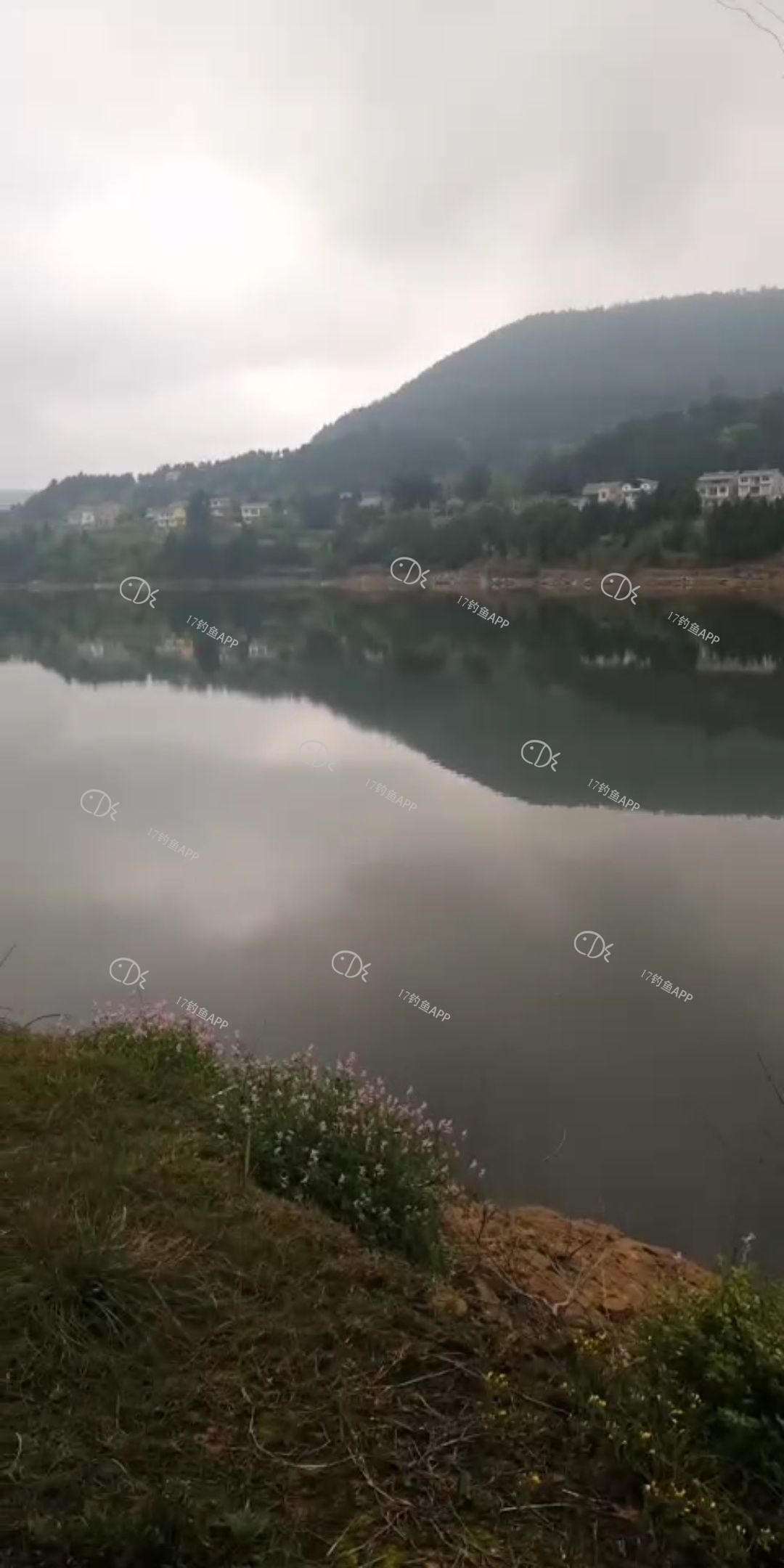 158717833634544.jpeg