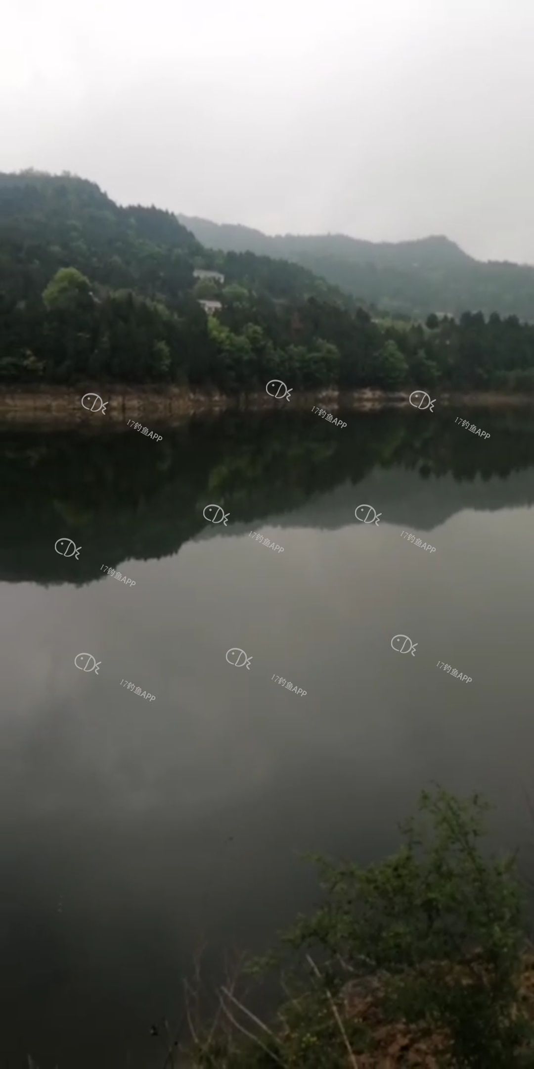 1587178336457274.jpeg
