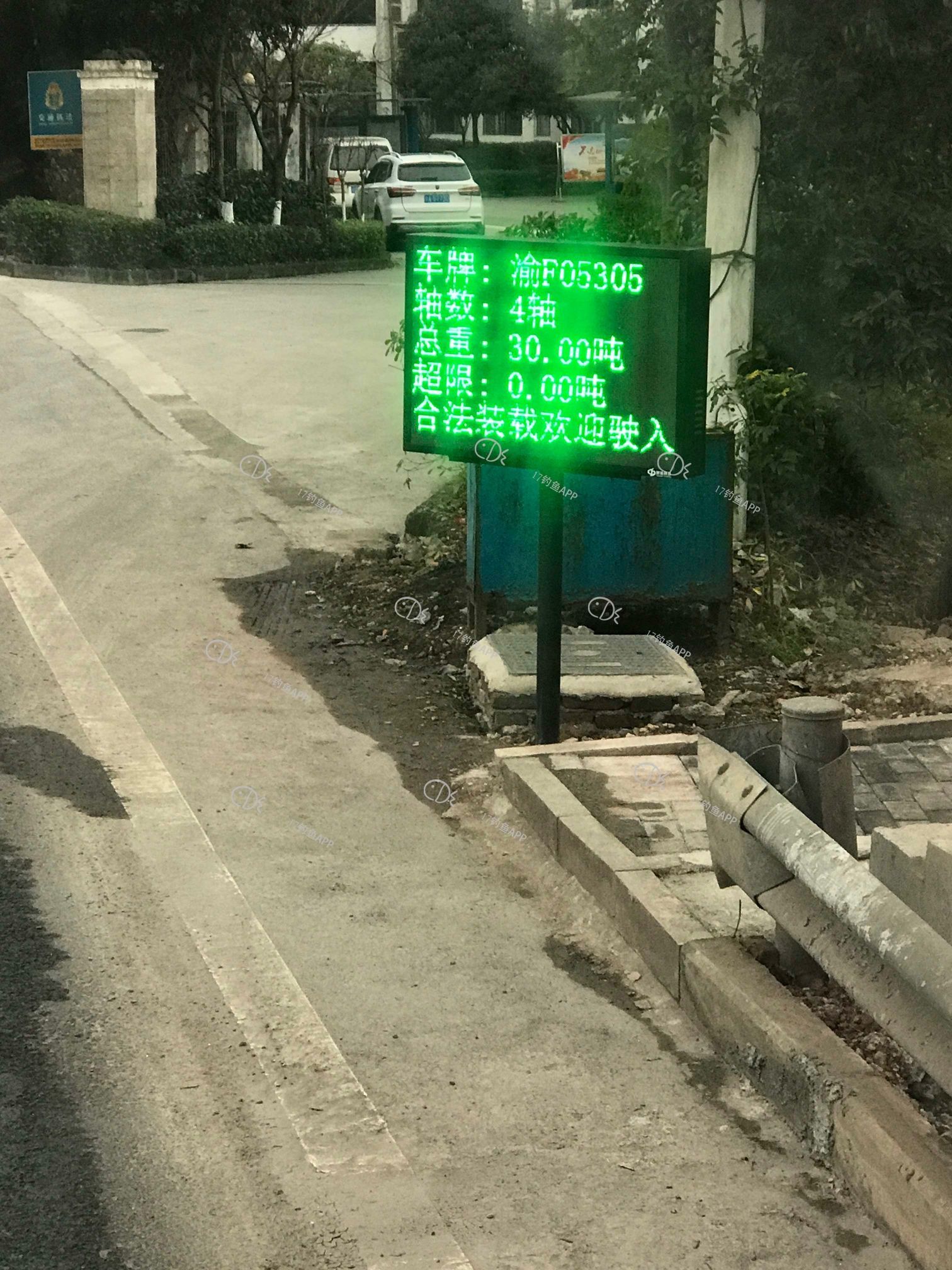 1587645512491967719.jpg