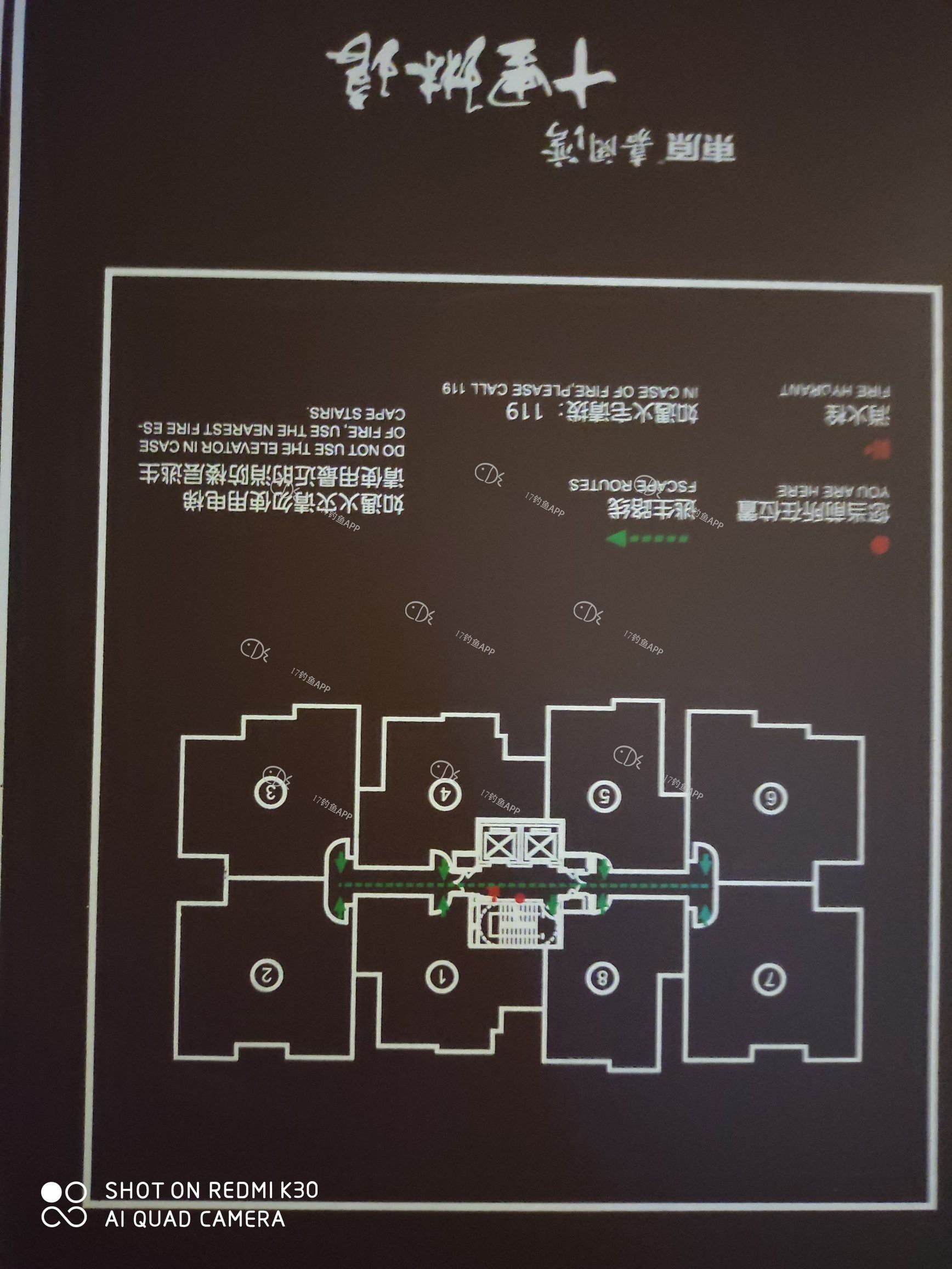 158807922699435.jpeg