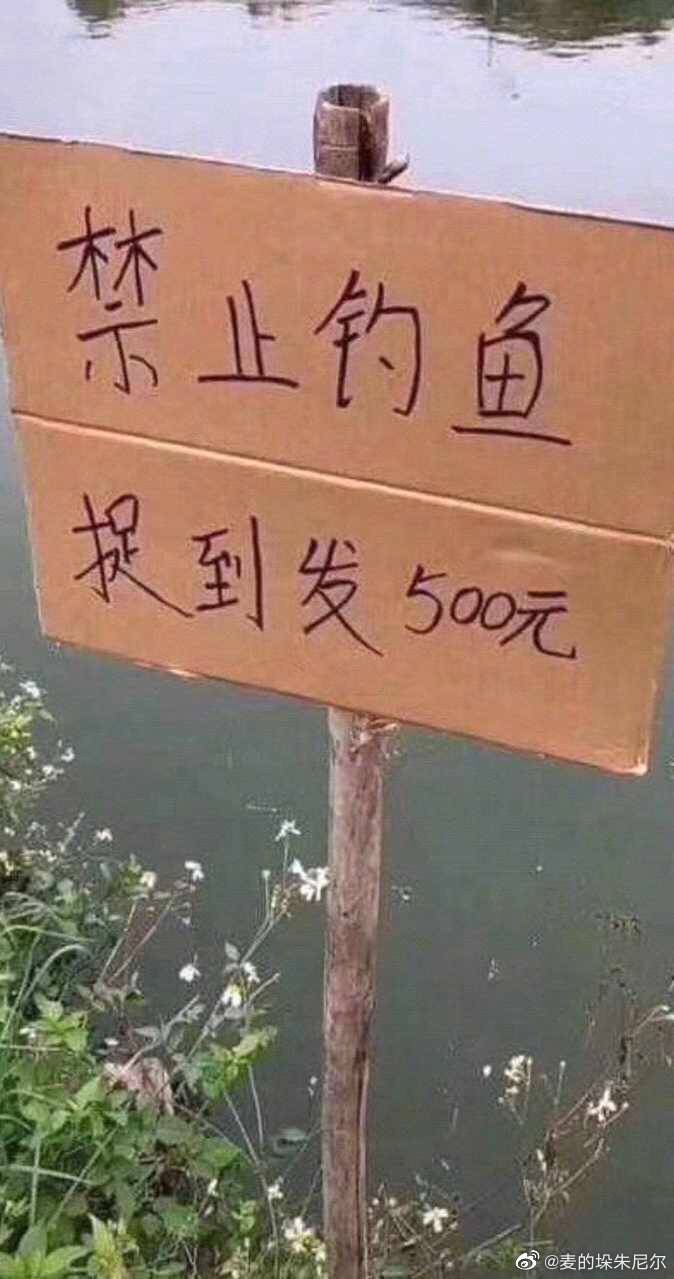 1588377444049321406.jpg
