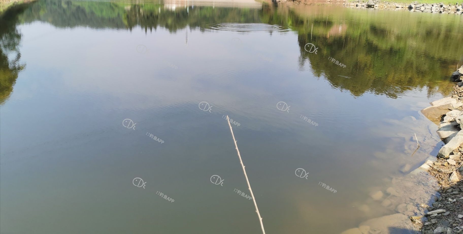 1588839672884257.jpeg