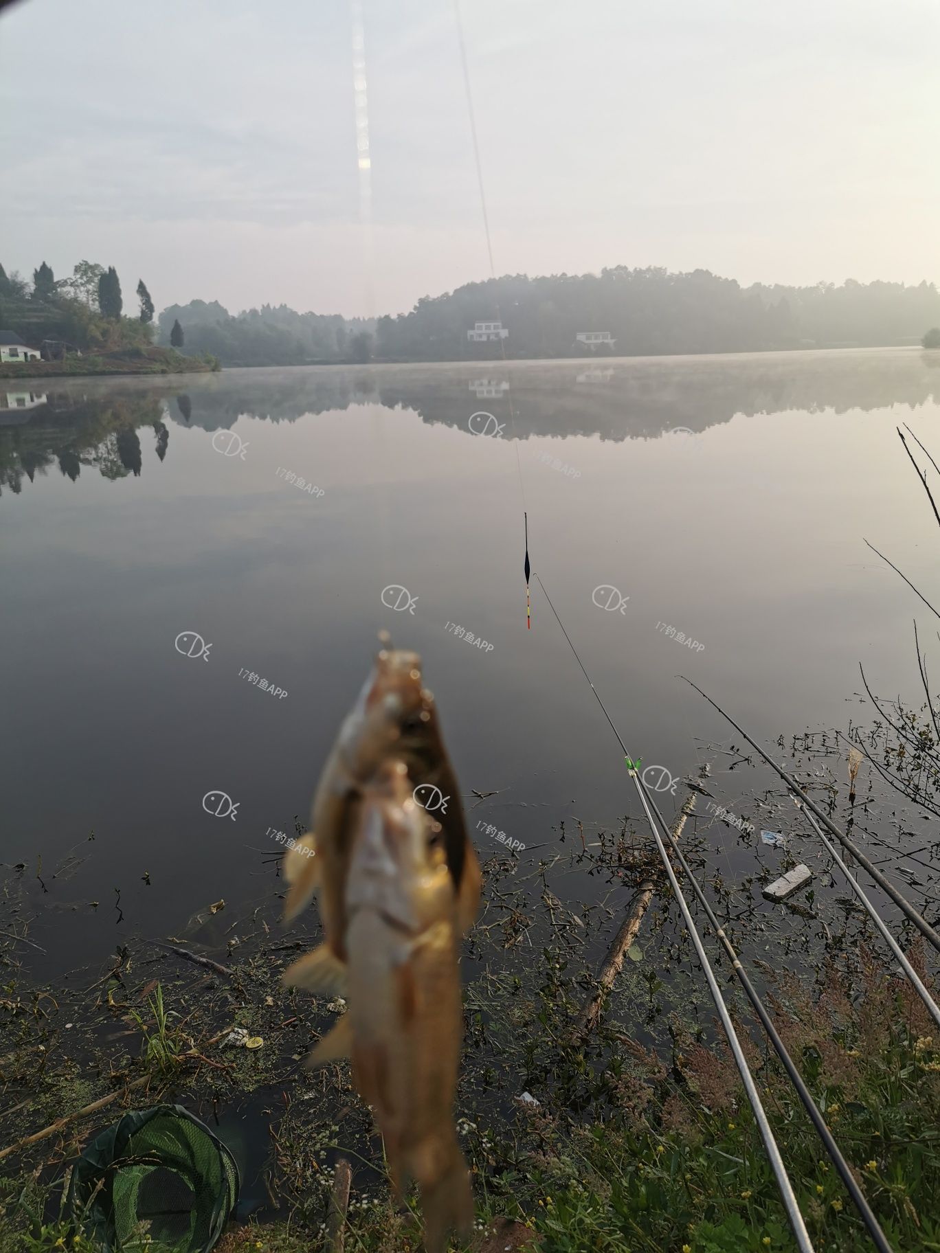 1589431454228858.jpeg