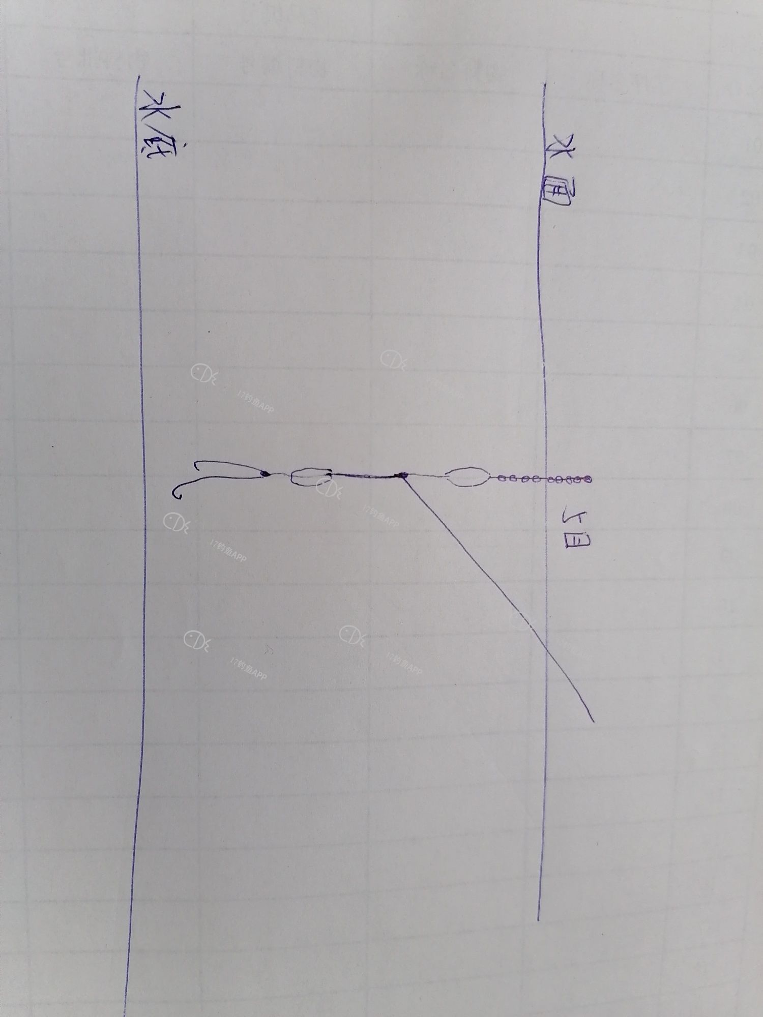 1589979962245528.jpeg