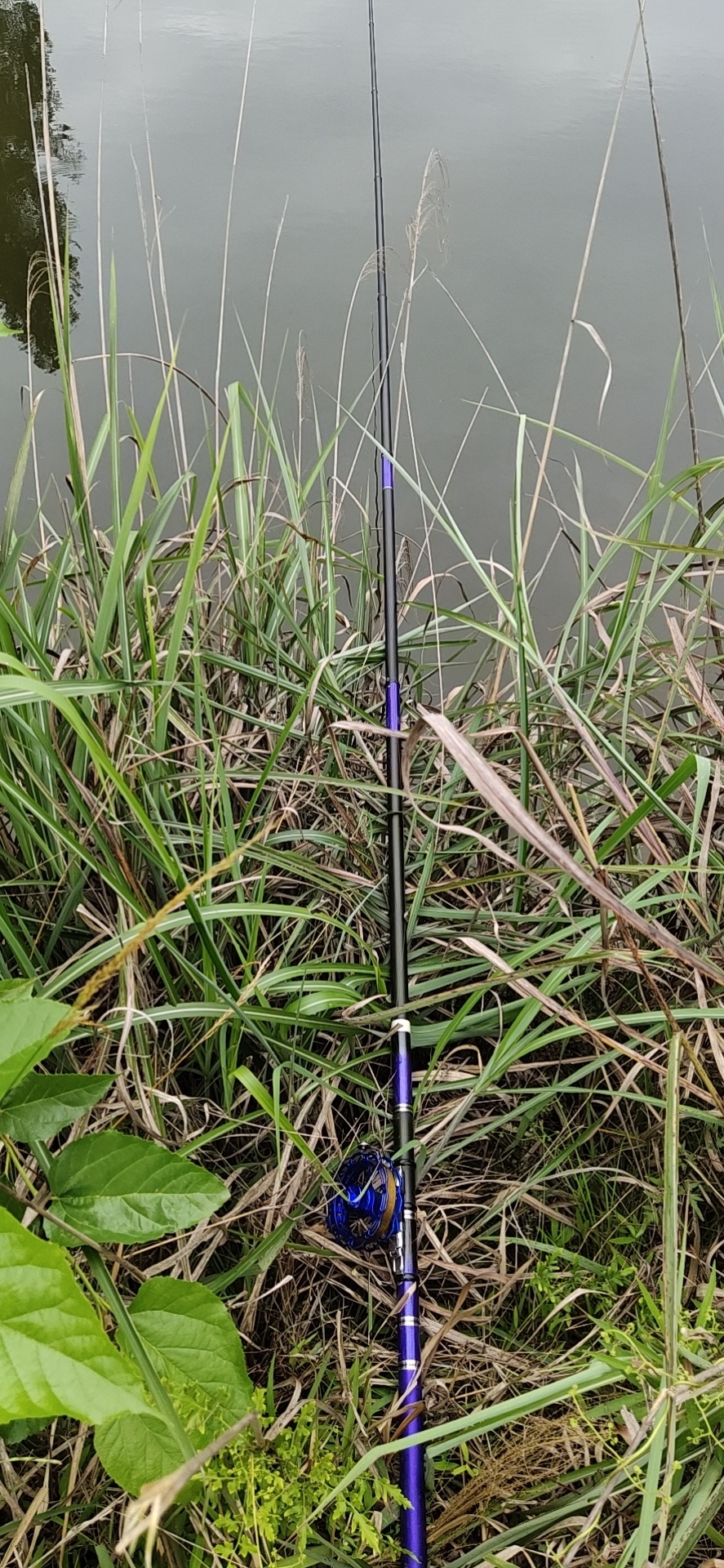 1591051200970251.jpeg