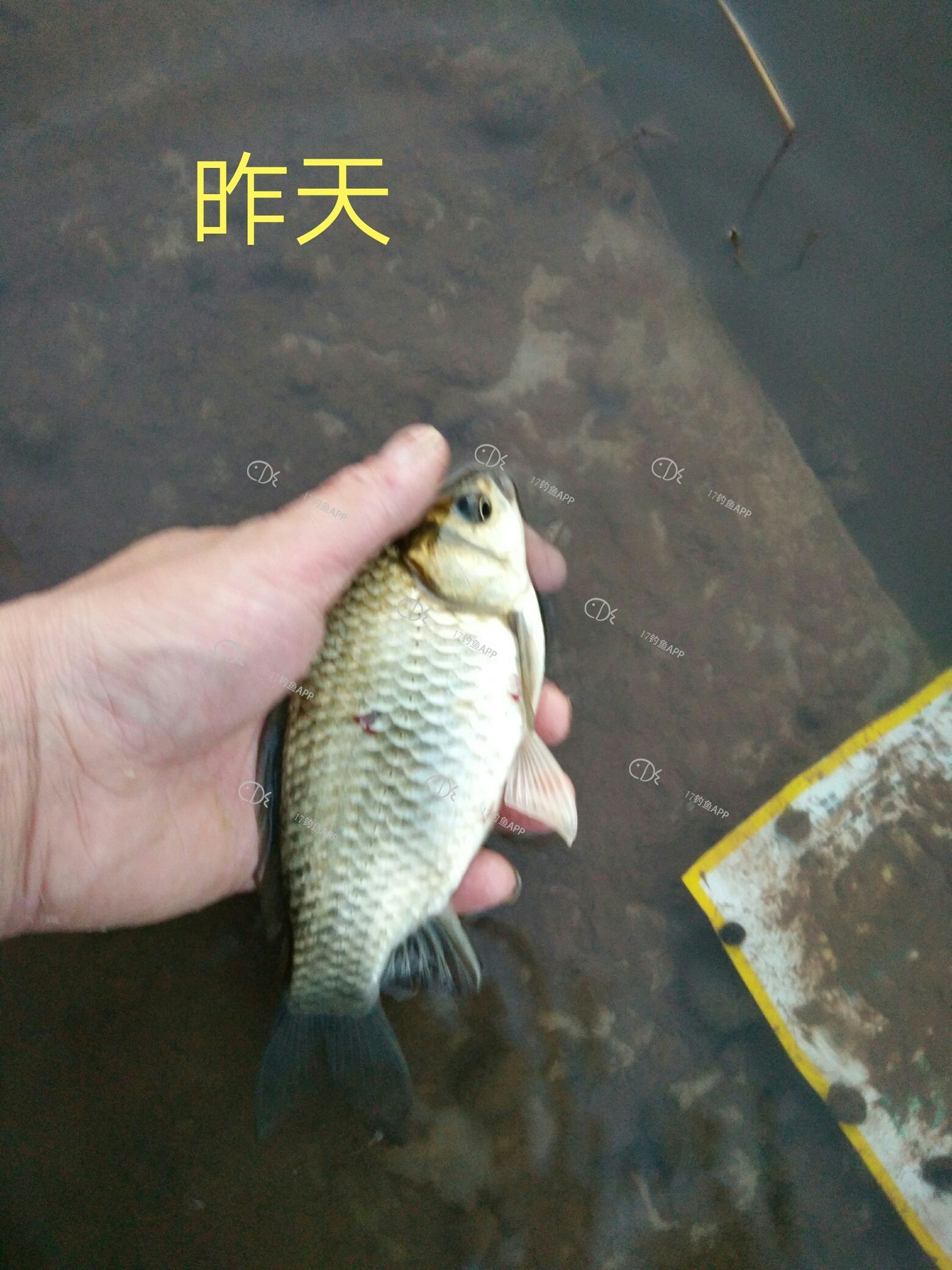 1591283524321541.jpeg