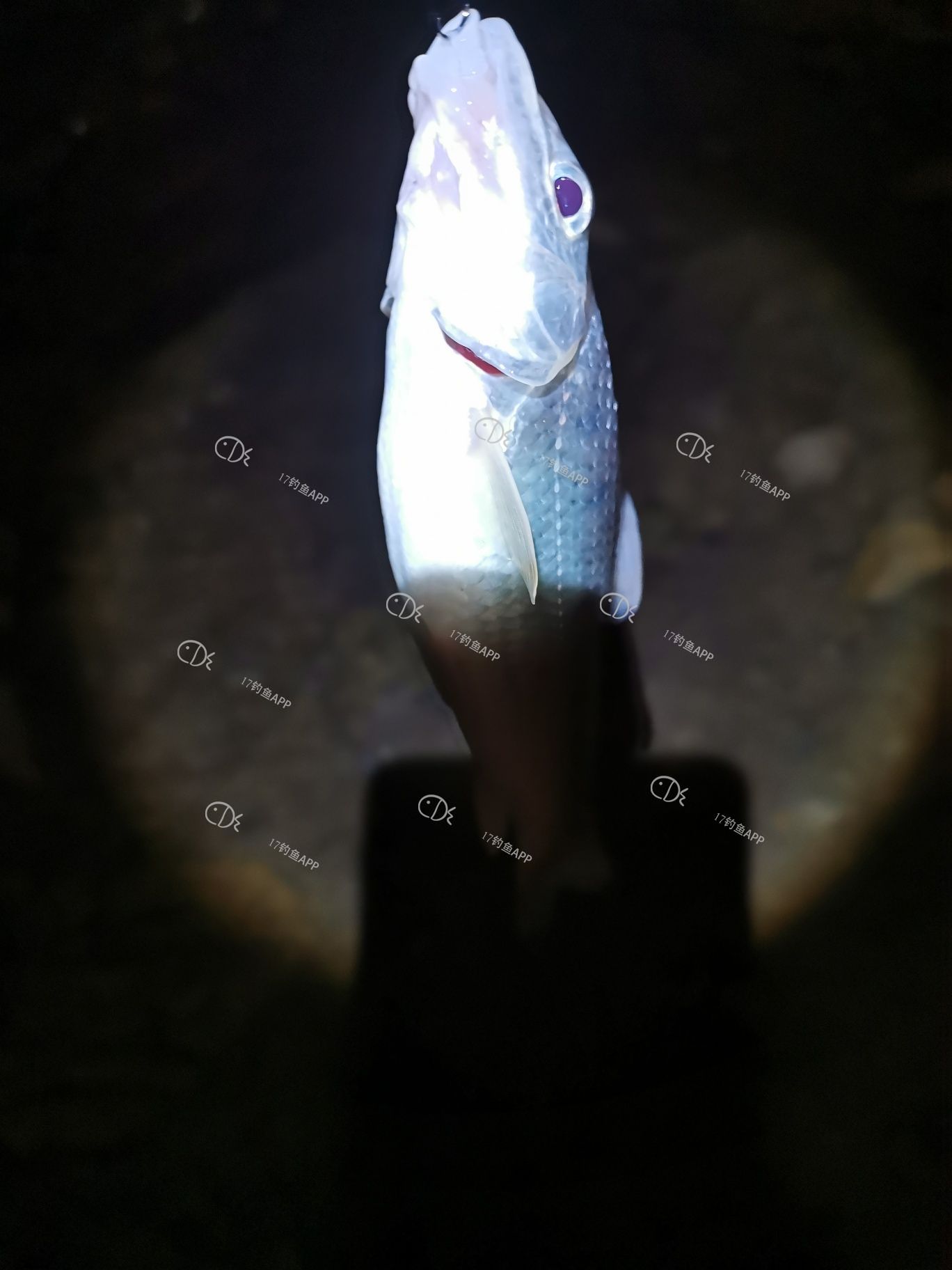 1592846673833723.jpeg
