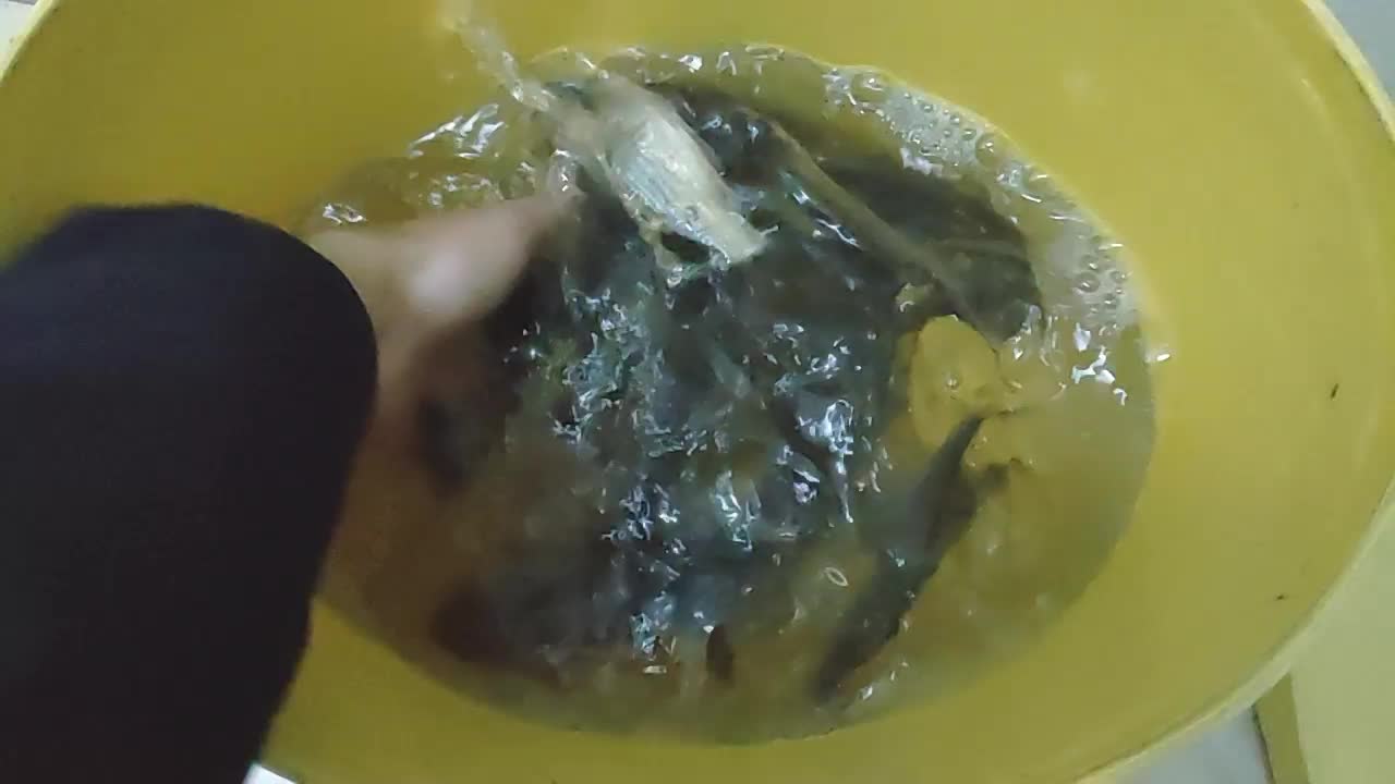 VID_20181218_180107.jpg