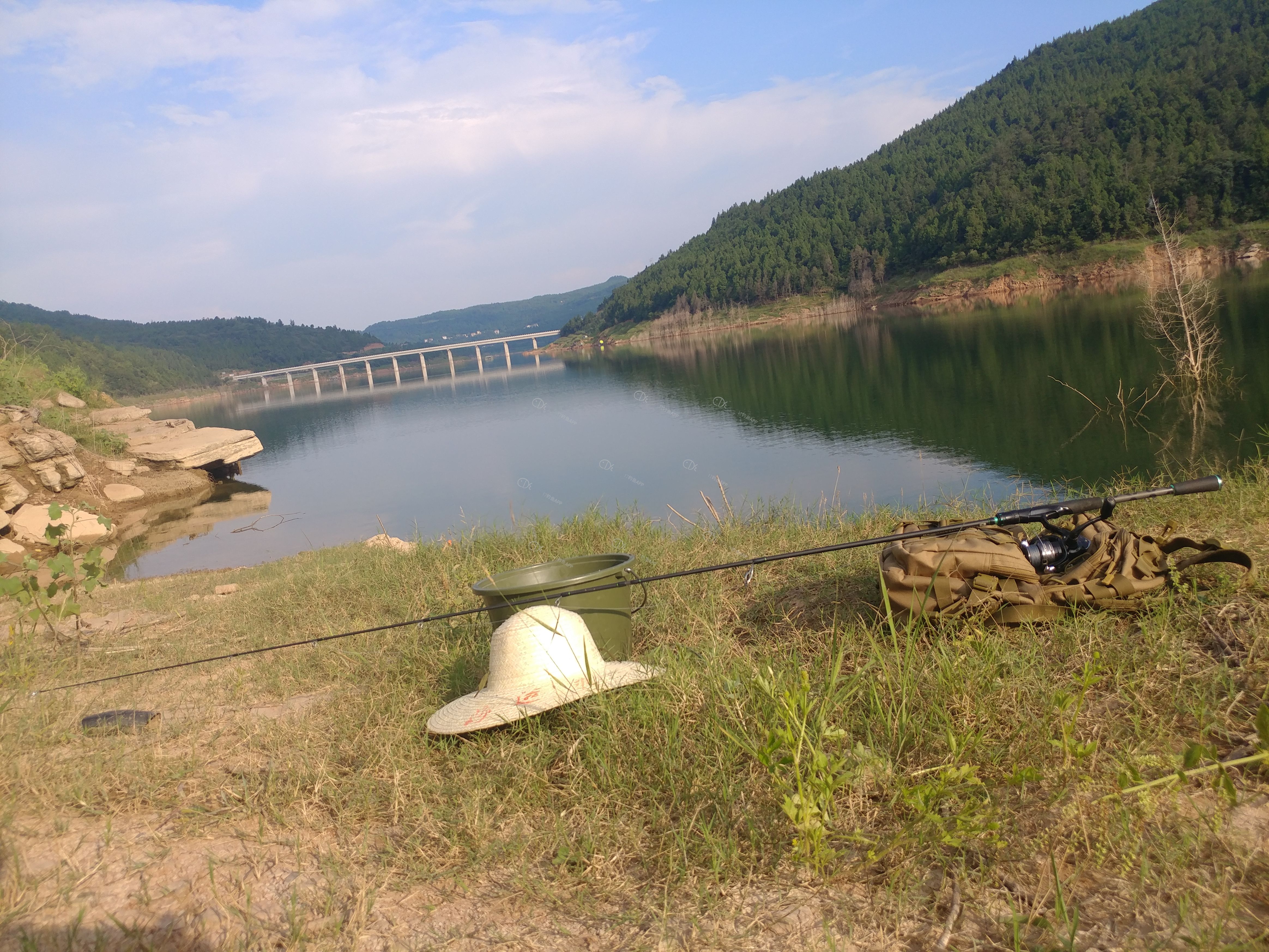 20190726_175316.jpg